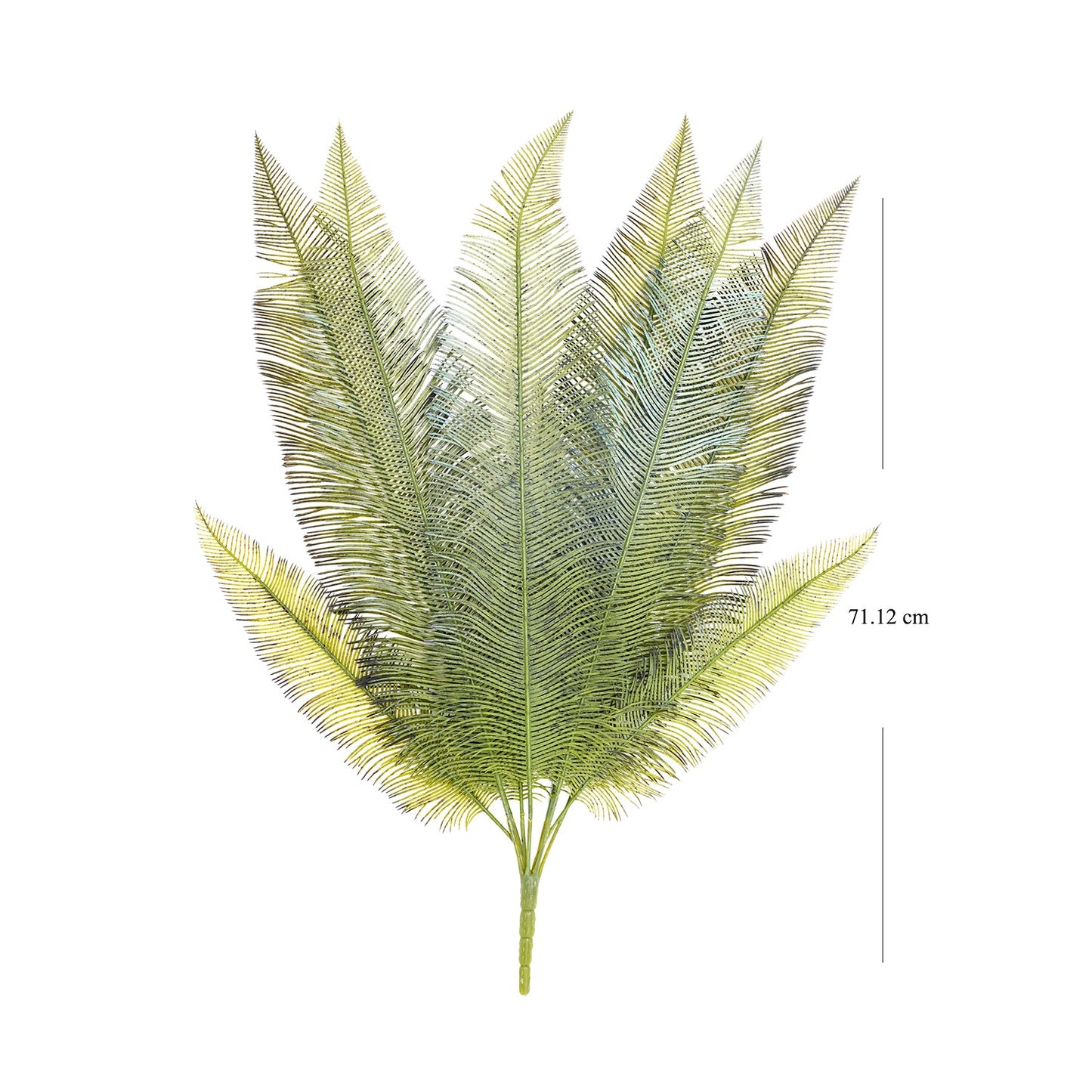 Green Fern Bush