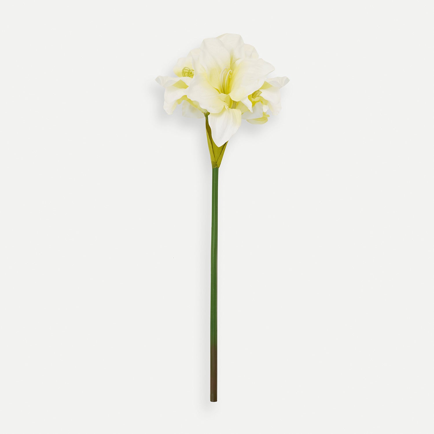 Ivory Amaryllis Faux Flower Stem - Single