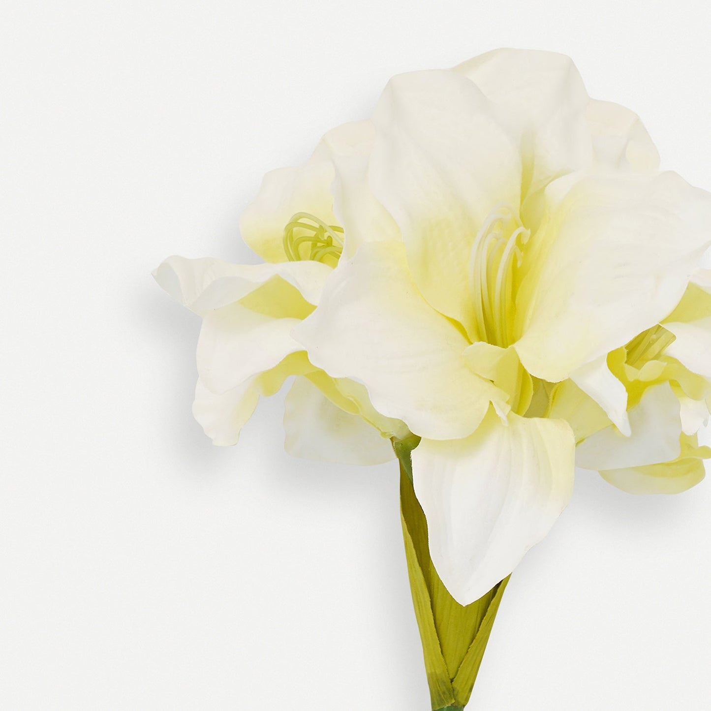 Ivory Amaryllis Faux Flower Stem - Single