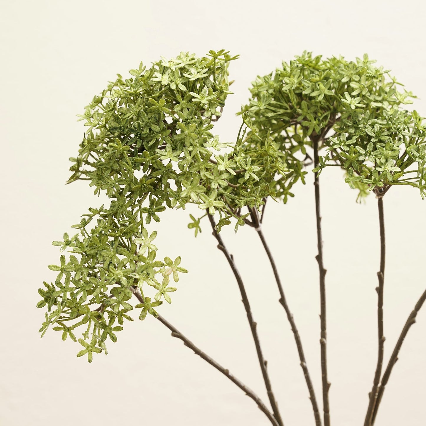 Green Ixora Faux Flower Stem - Single