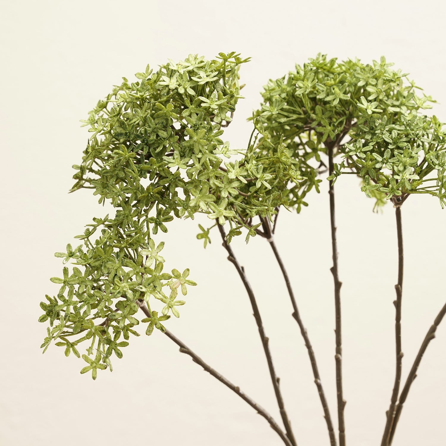 Green Ixora Faux Flower Stem - Single