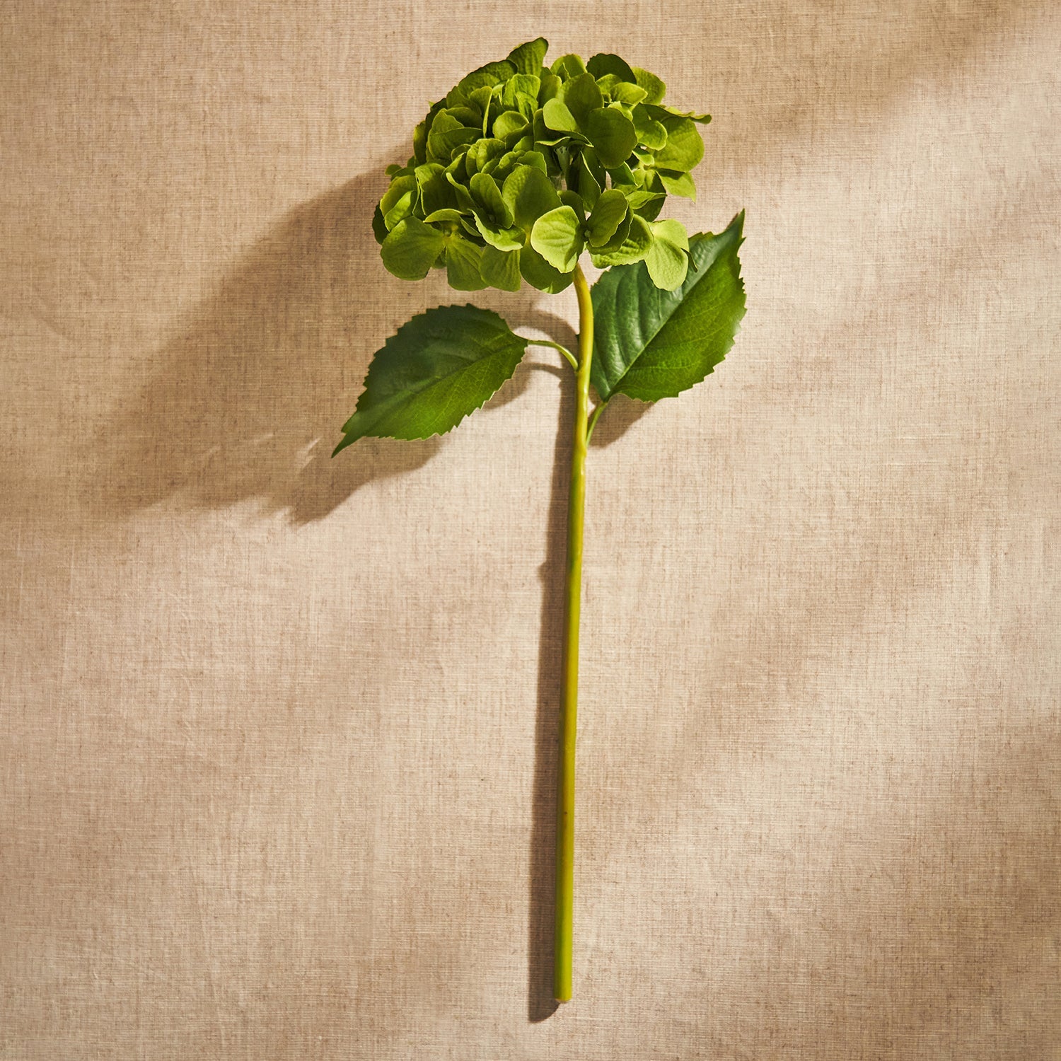 Green Hydrangea Faux Flower Stem - Single