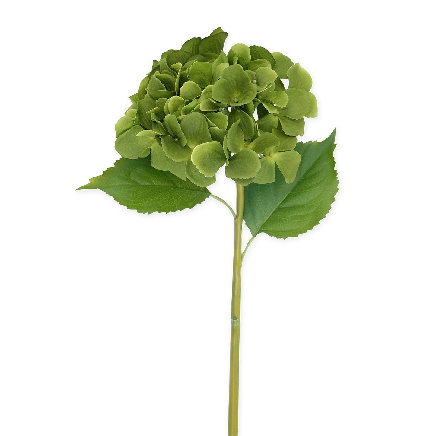 Green Hydrangea Faux Flower Stem - Single