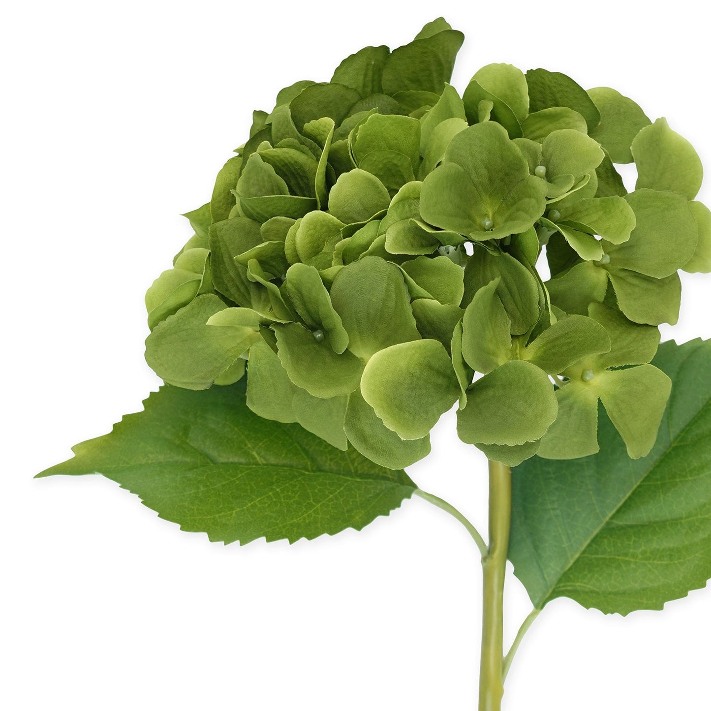 Green Hydrangea Faux Flower Stem - Single