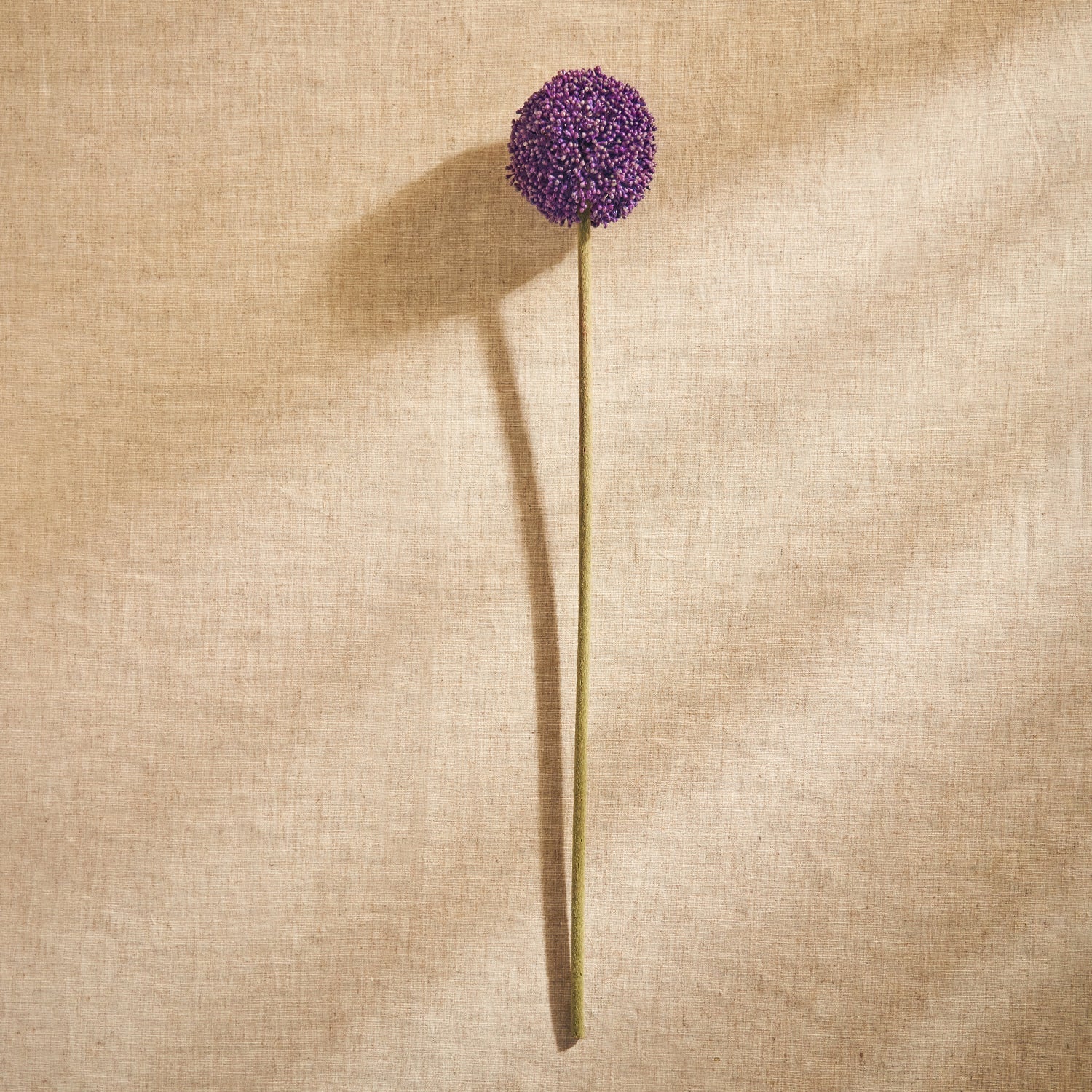 Purple Buddleia Artificial Stem - Single