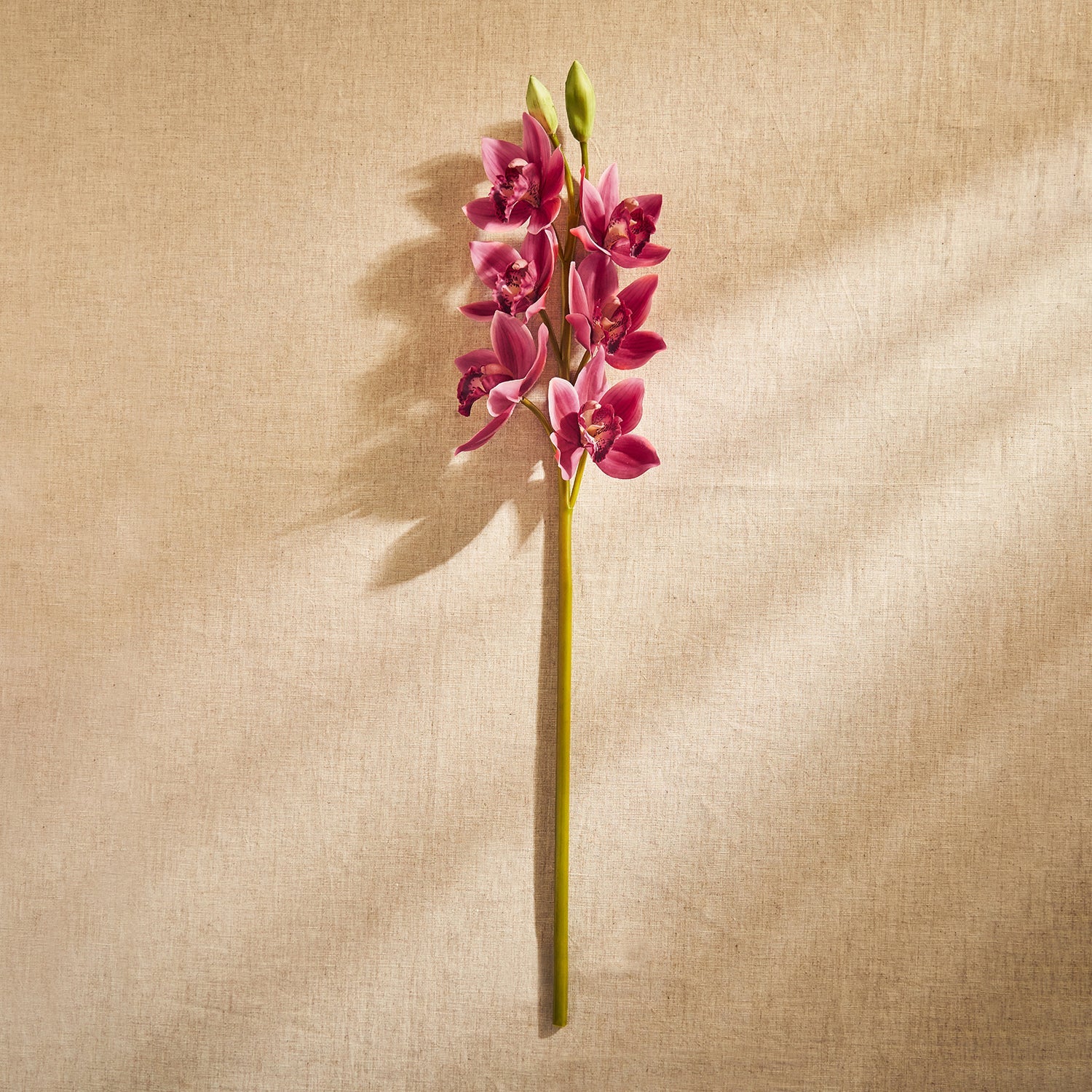 Pink Boat Orchid Faux Flower Stem - Single