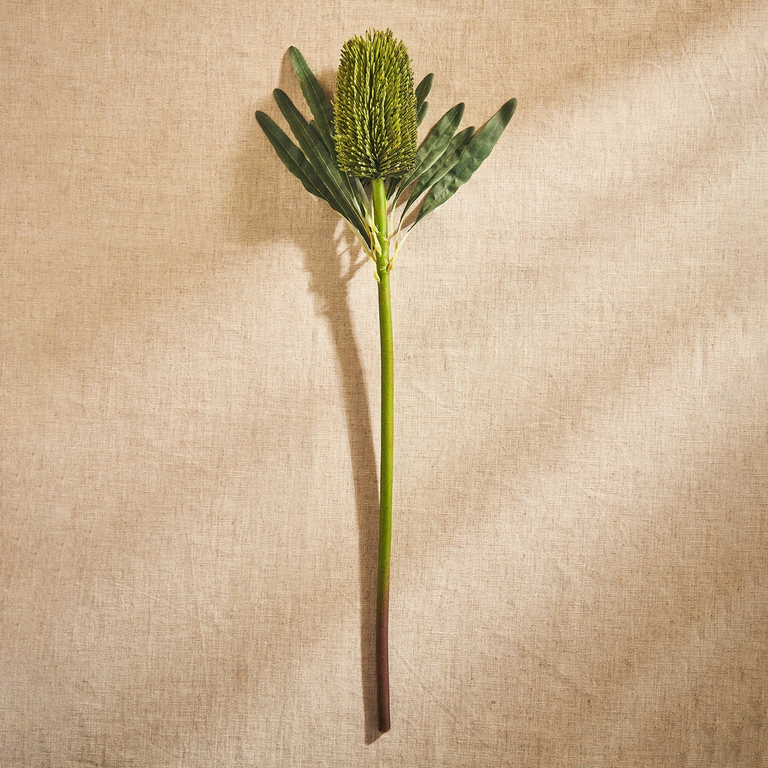 Green Protea Faux Flower Stem - Single