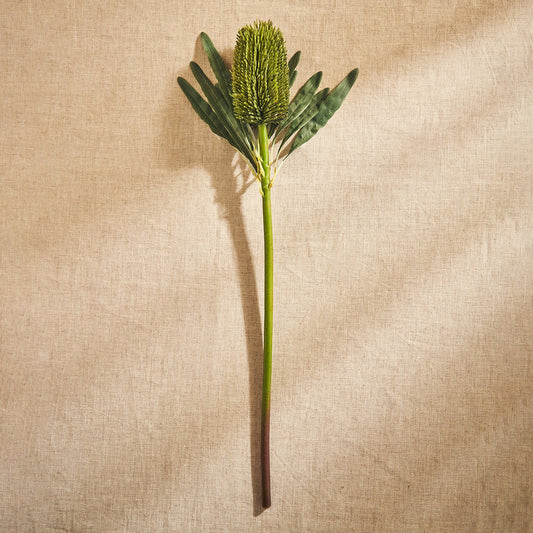 Green Protea Faux Flower Stem - Single