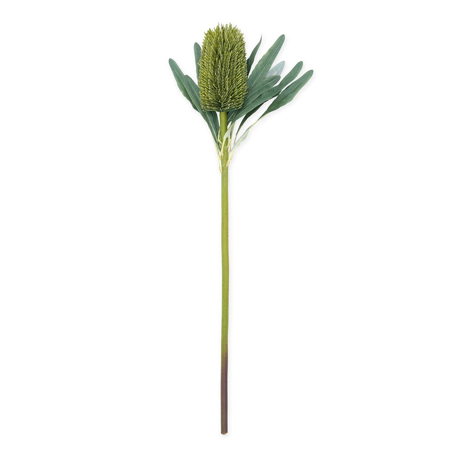 Green Protea Faux Flower Stem - Single
