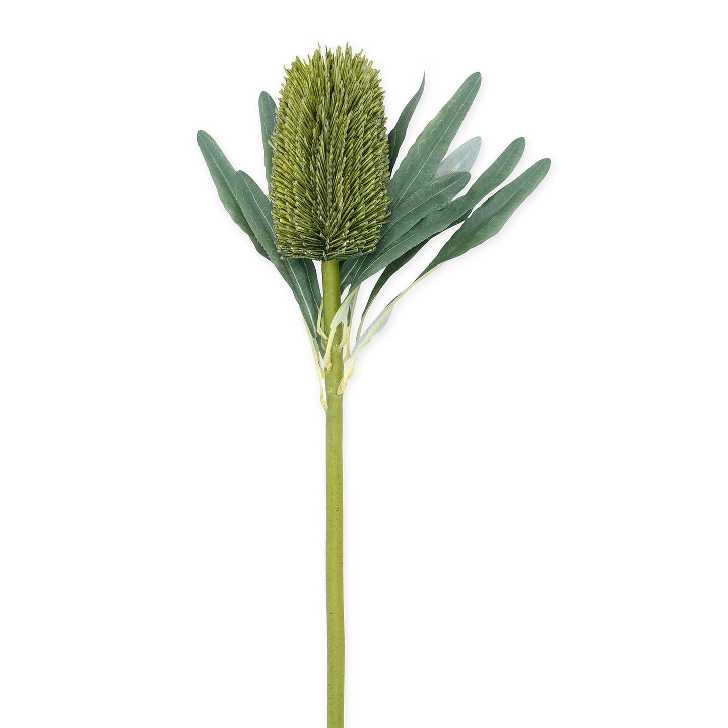Green Protea Faux Flower Stem - Single