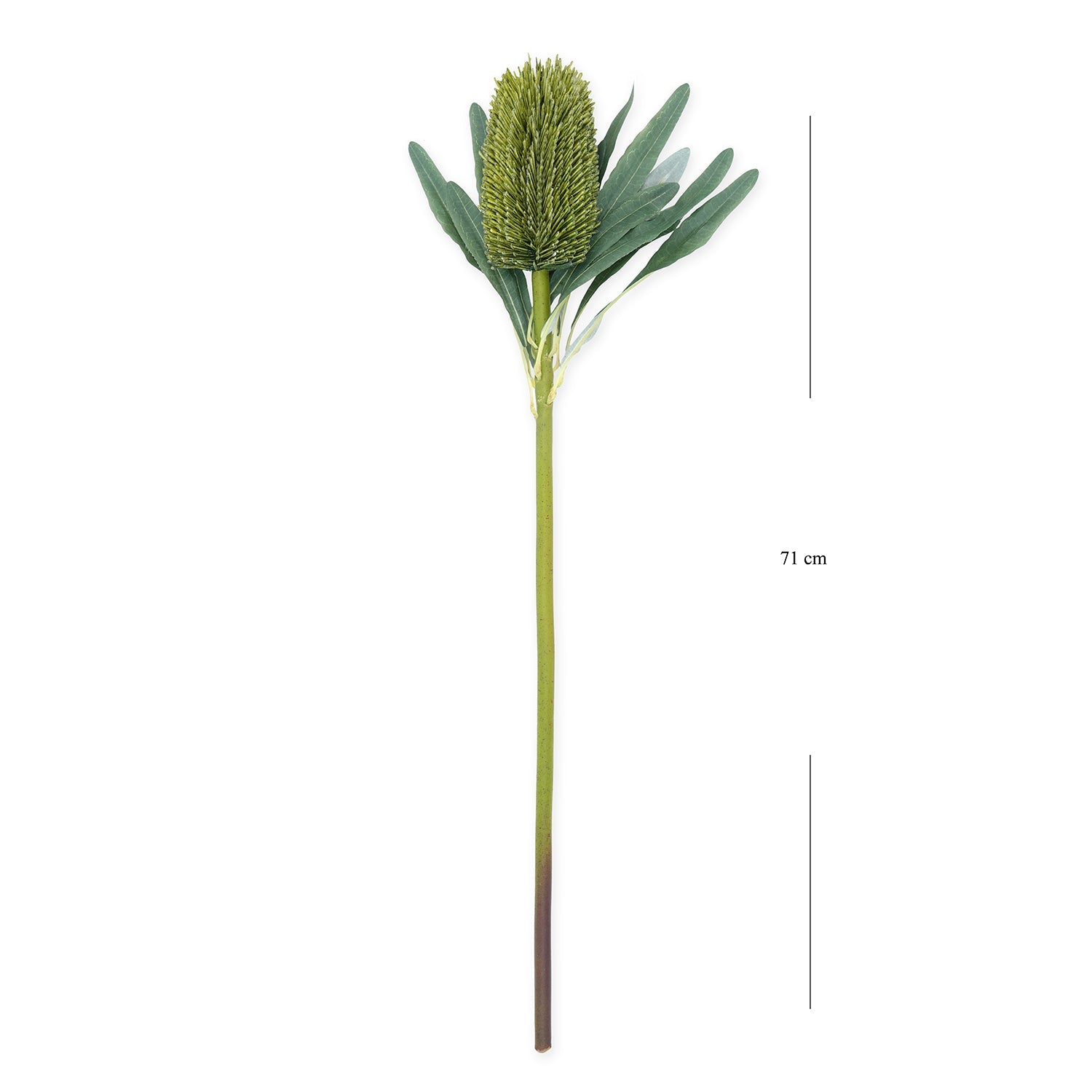 Green Protea Faux Flower Stem - Single