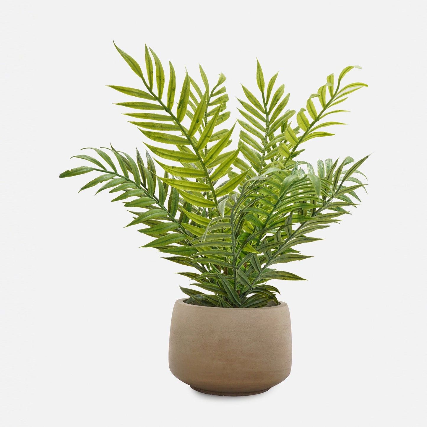 Green Artificial Fern Plant with Pot