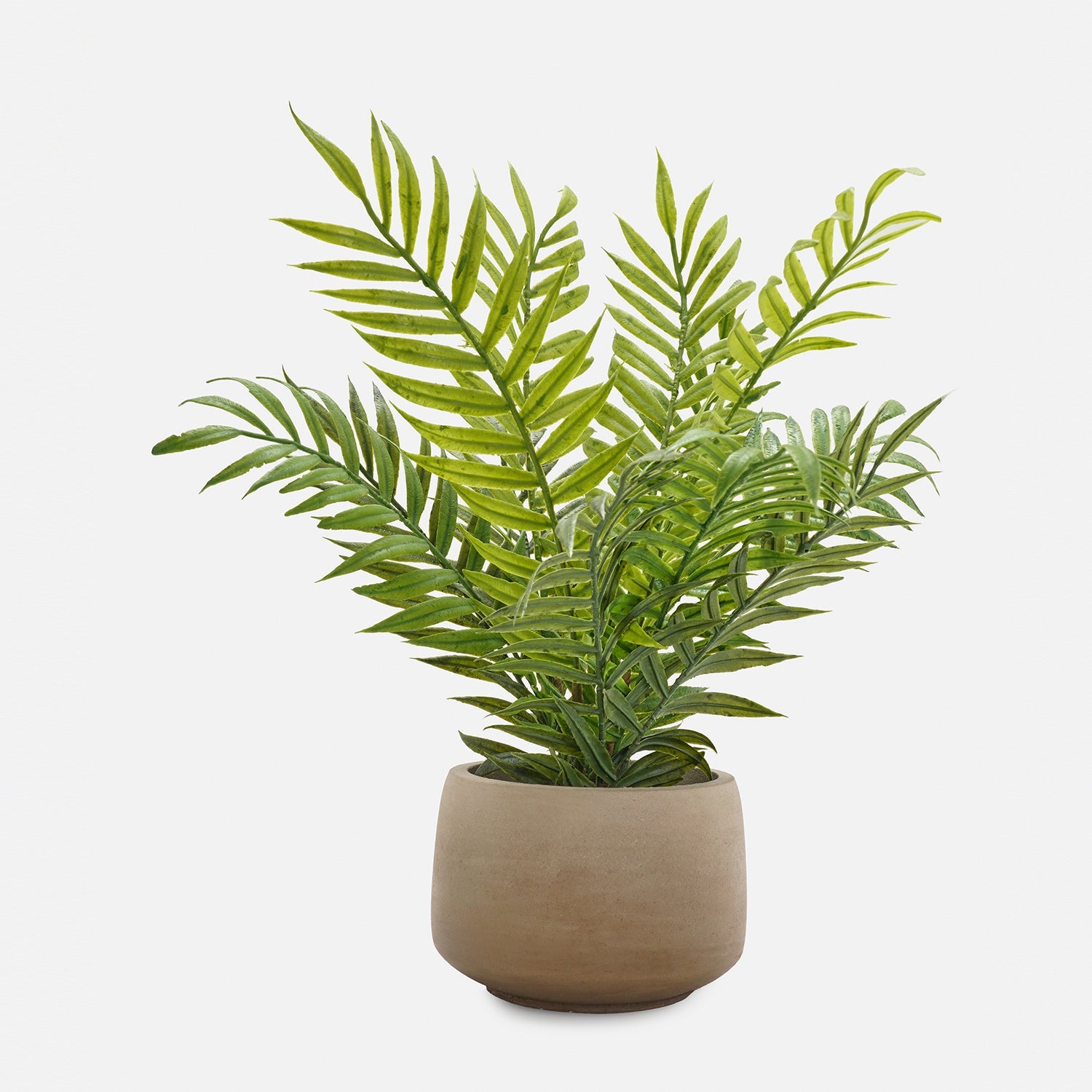 Green Artificial Fern Plant with Pot