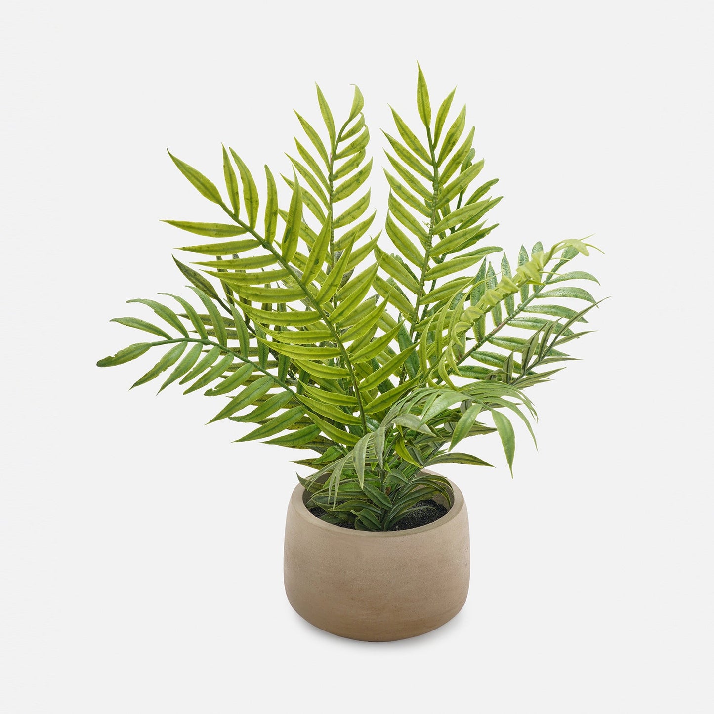Green Artificial Fern Plant with Pot