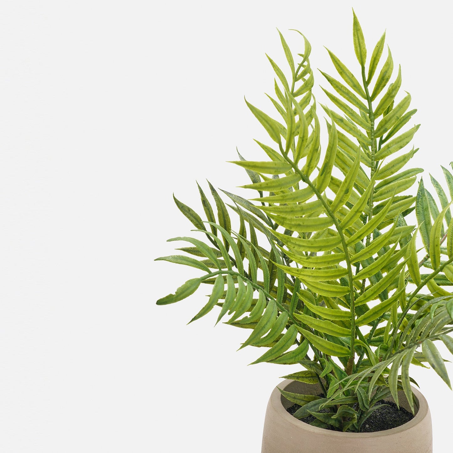 Green Artificial Fern Plant with Pot