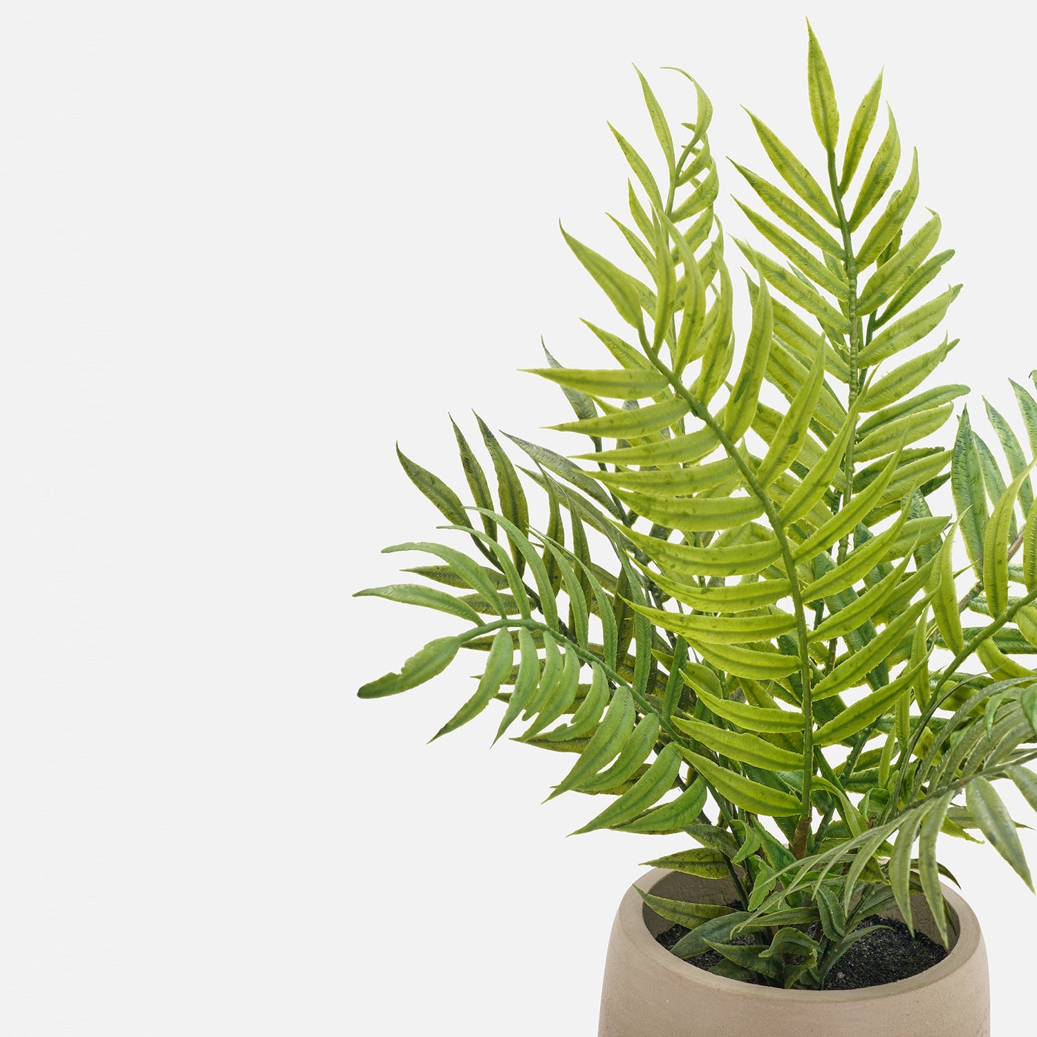 Green Artificial Fern Plant with Pot