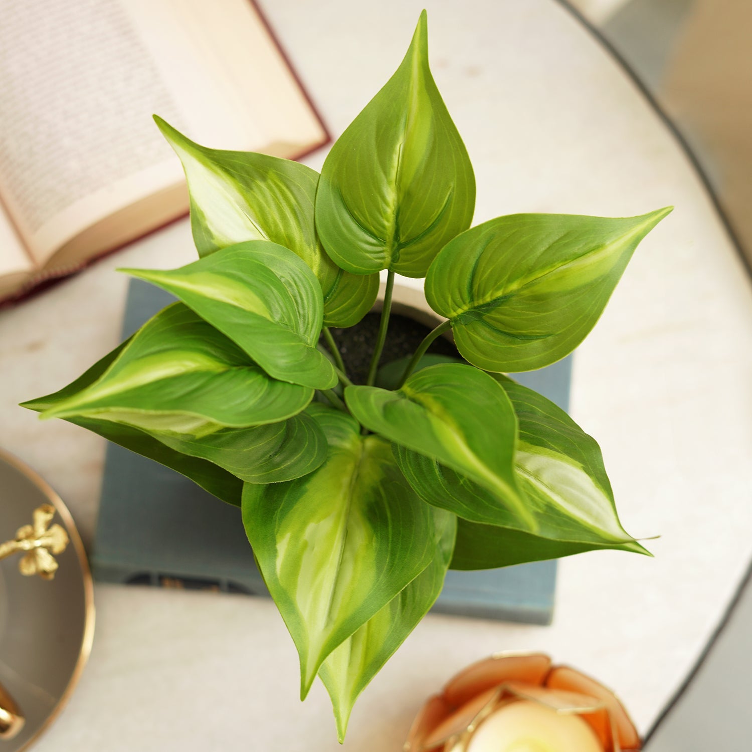Green Artificial Plant with Pot