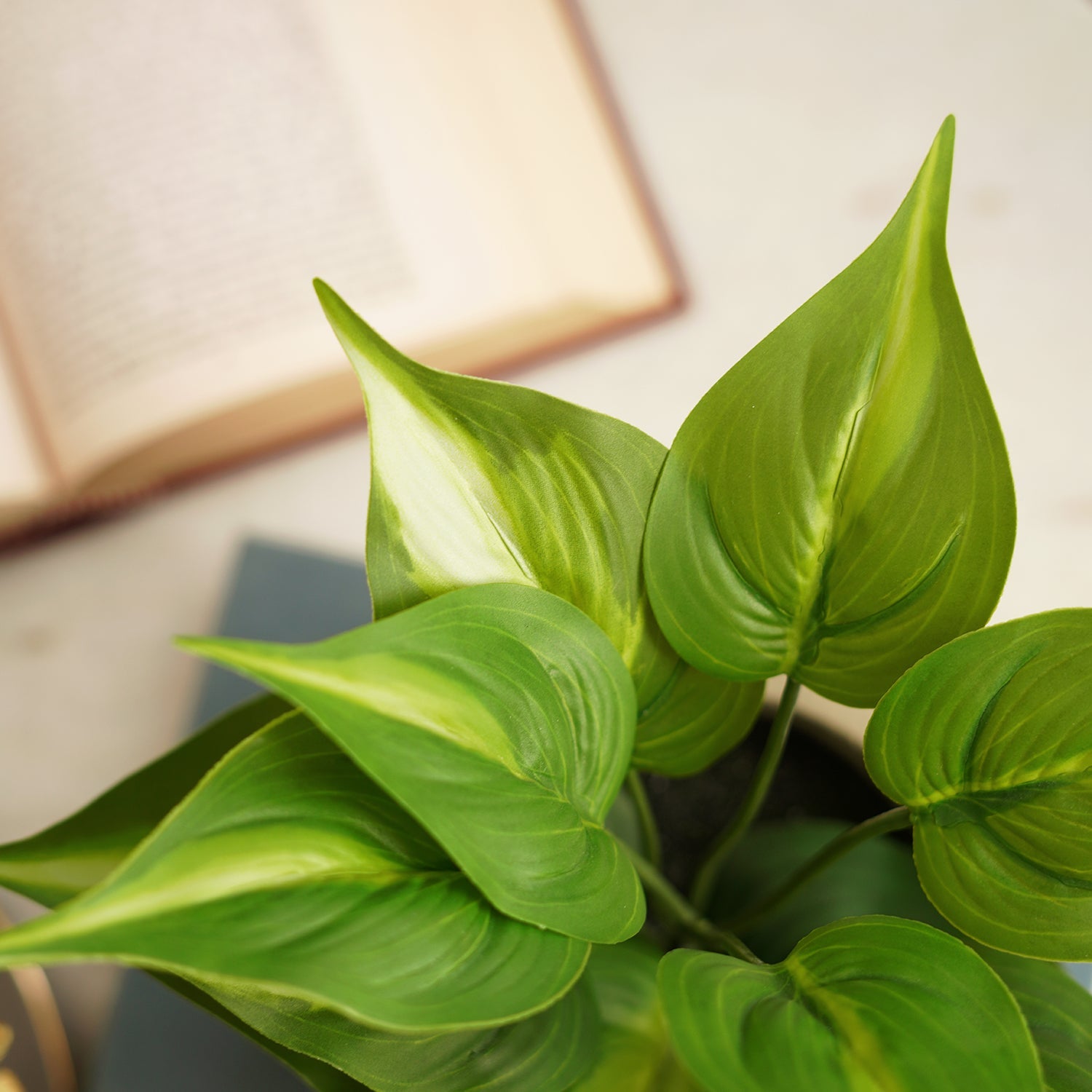 Green Artificial Plant with Pot