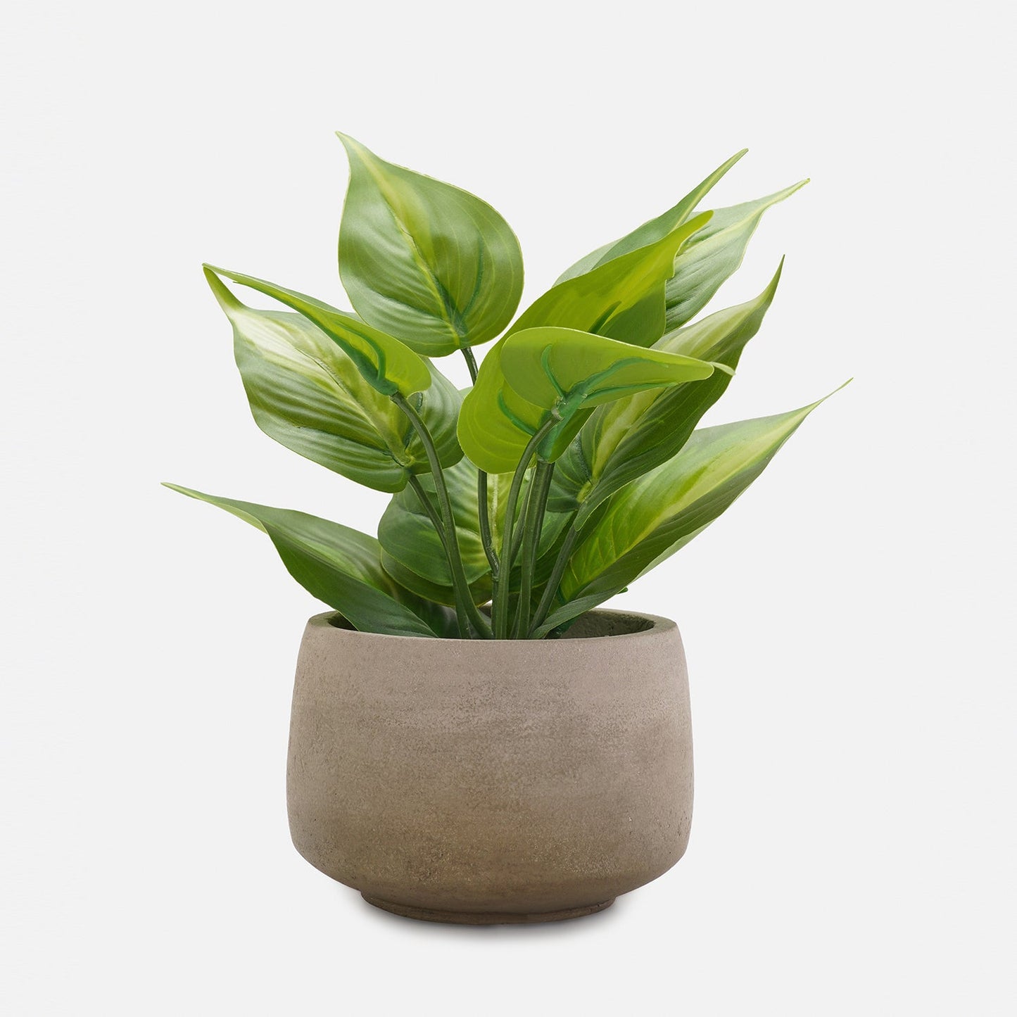 Green Artificial Plant with Pot