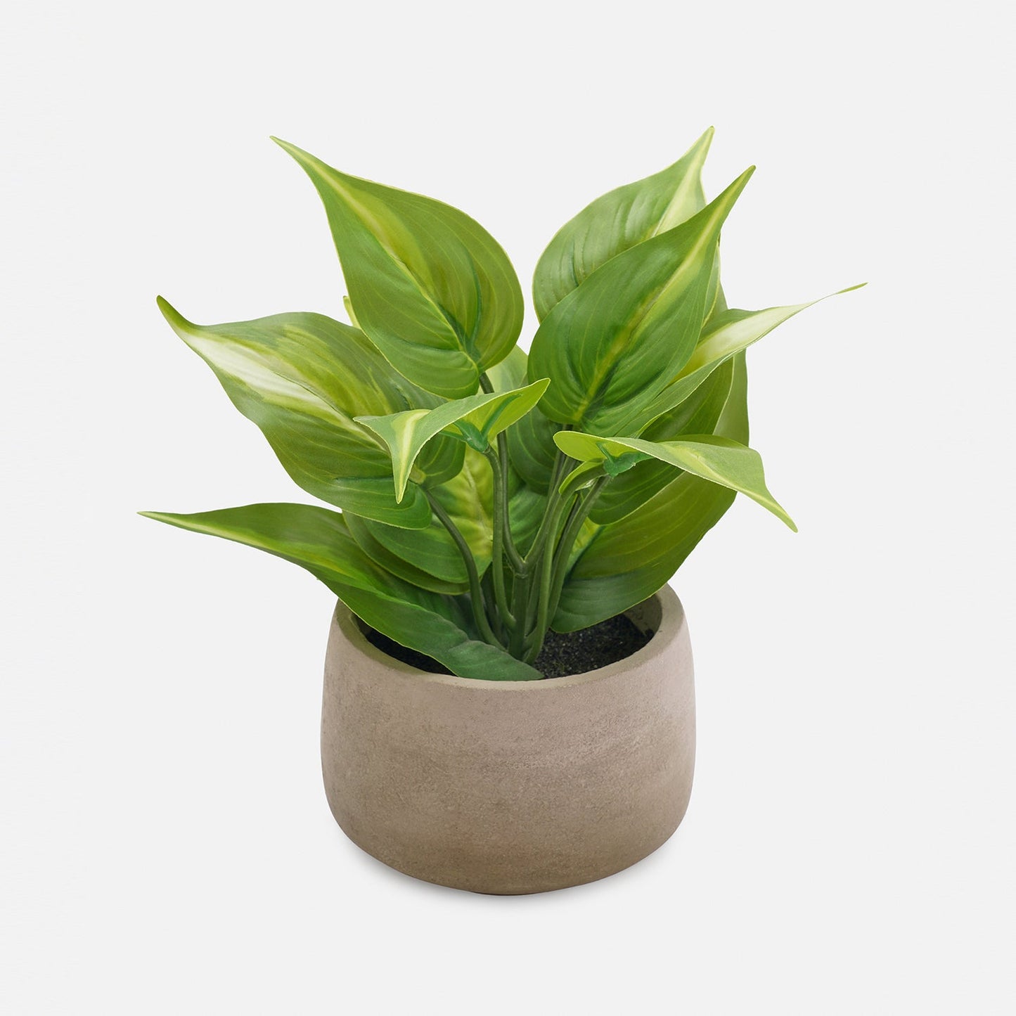Green Artificial Plant with Pot