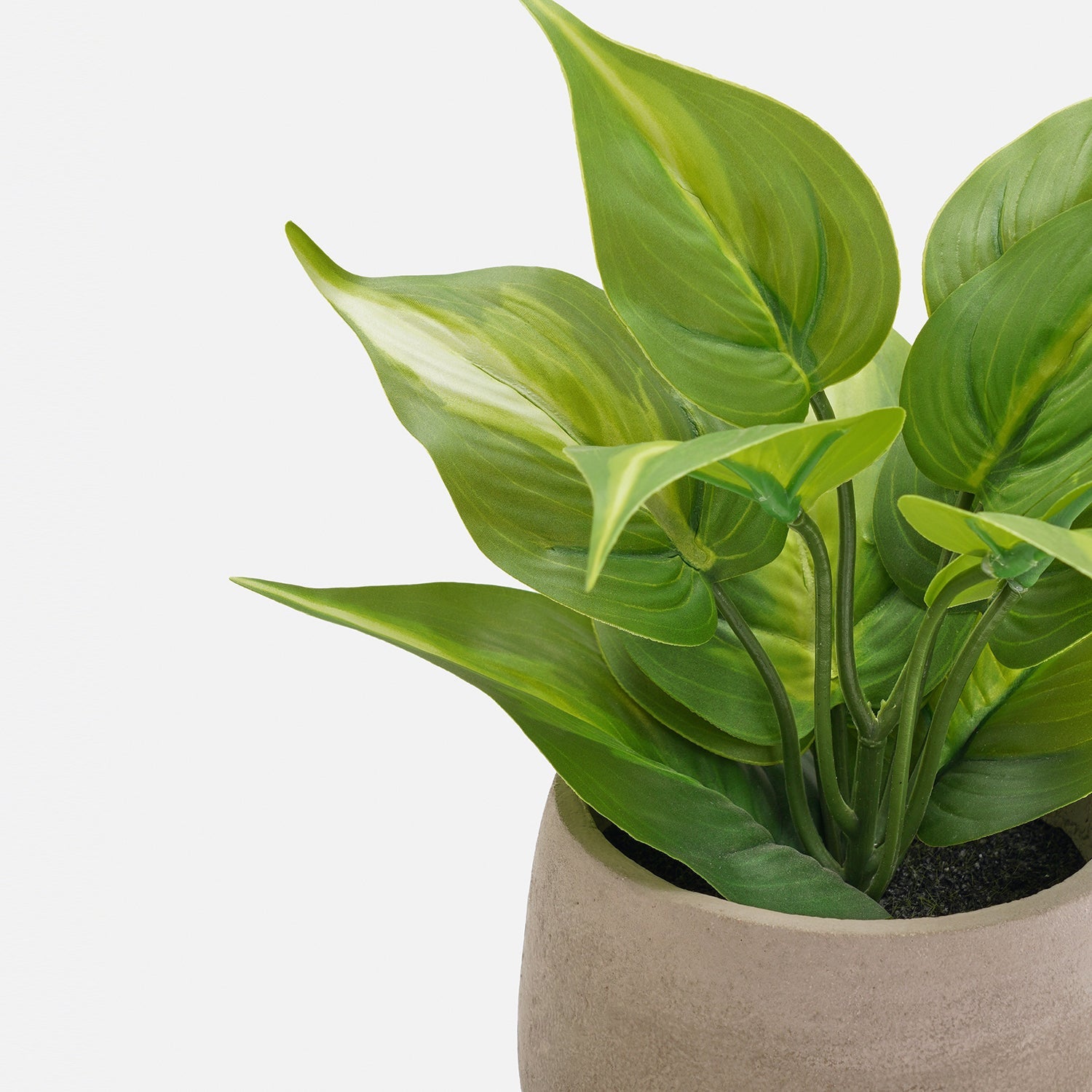 Green Artificial Plant with Pot