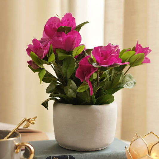 Pink Artificial Azalea Plant with Cement Pot