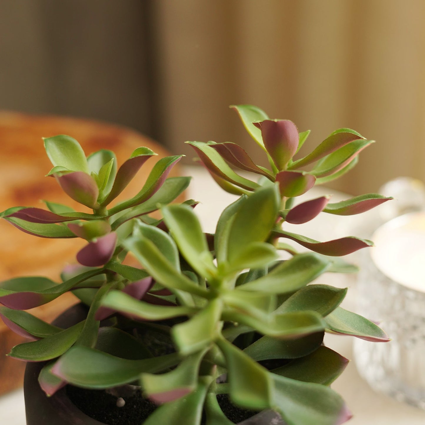 Green Artificial Succulent with Cement Pot
