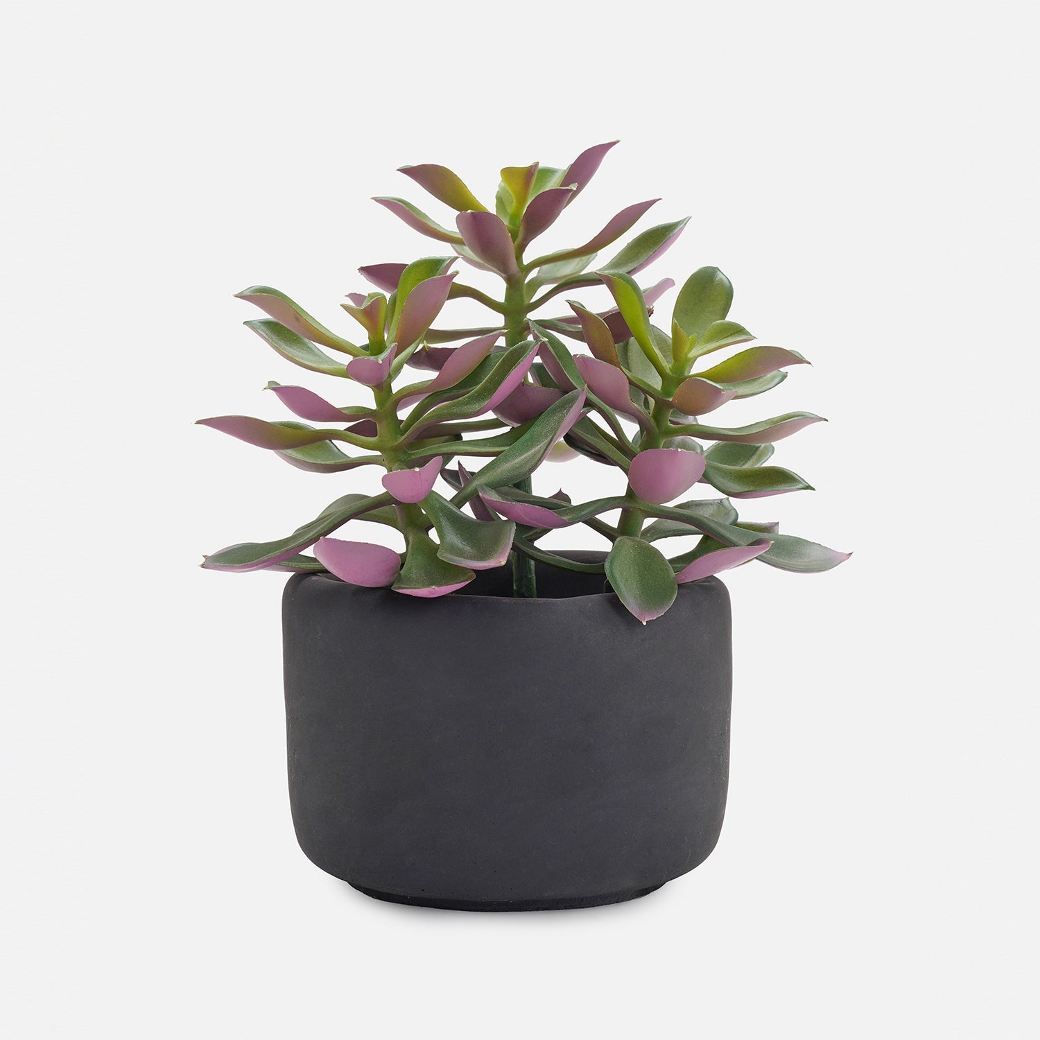 Green Artificial Succulent with Cement Pot
