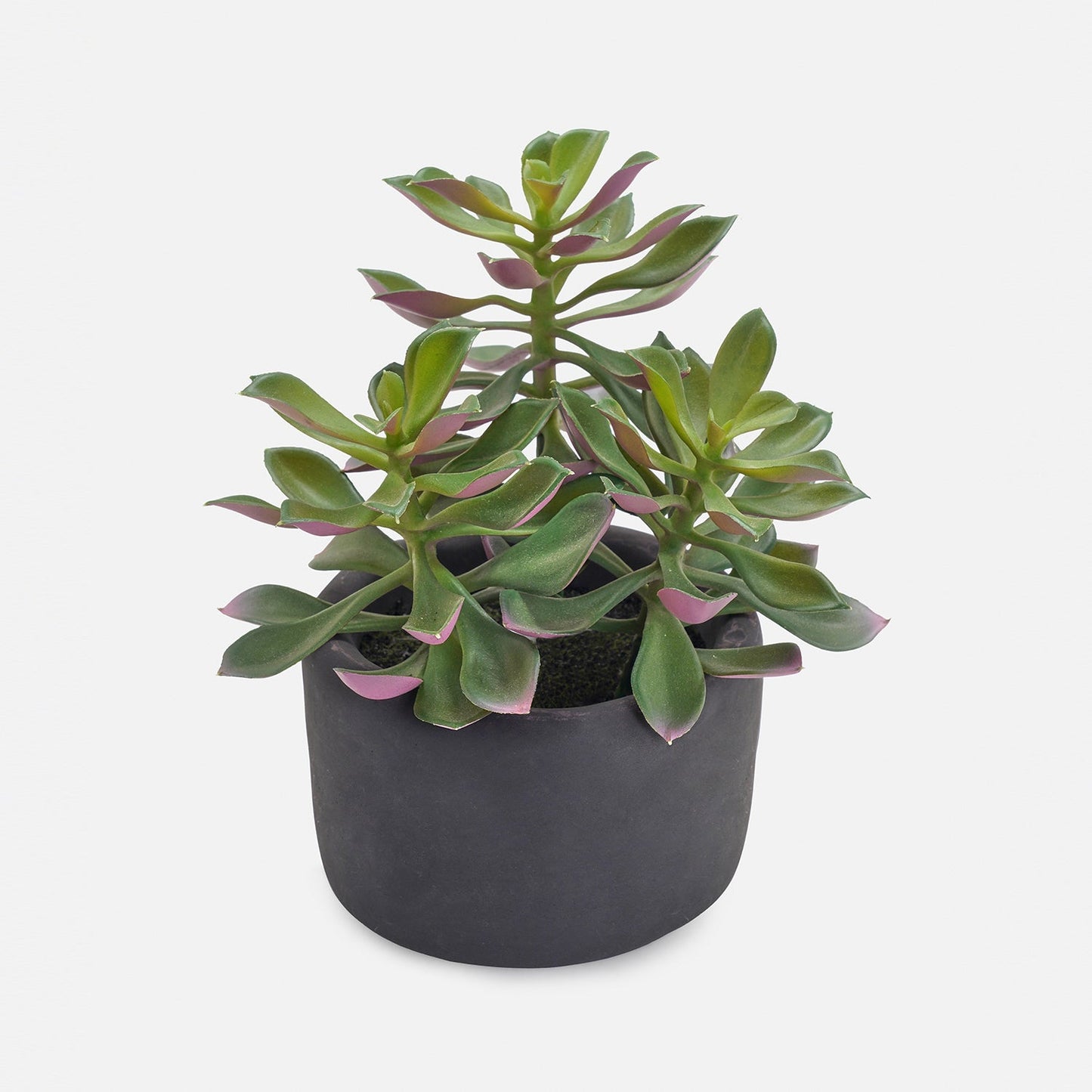 Green Artificial Succulent with Cement Pot