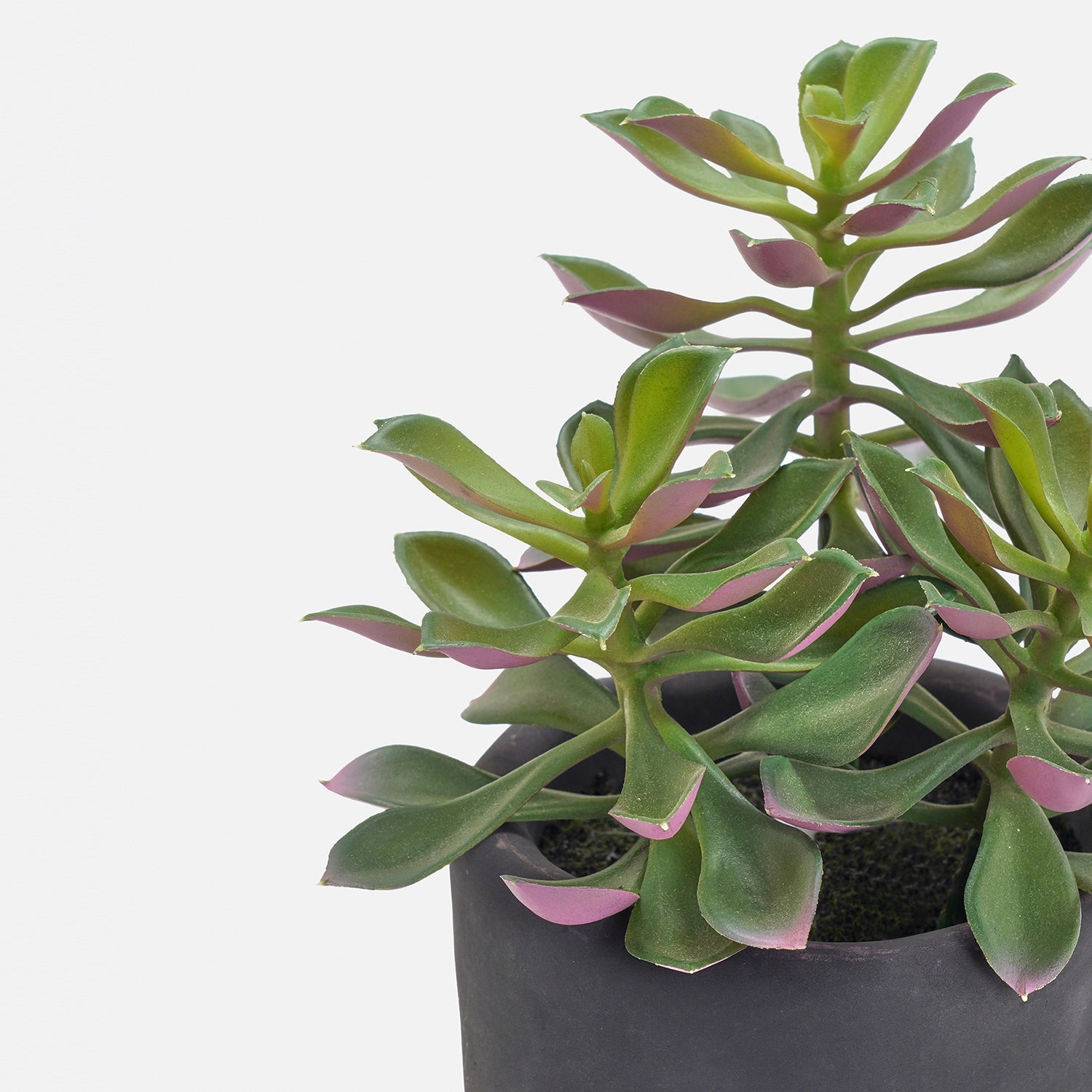Green Artificial Succulent with Cement Pot