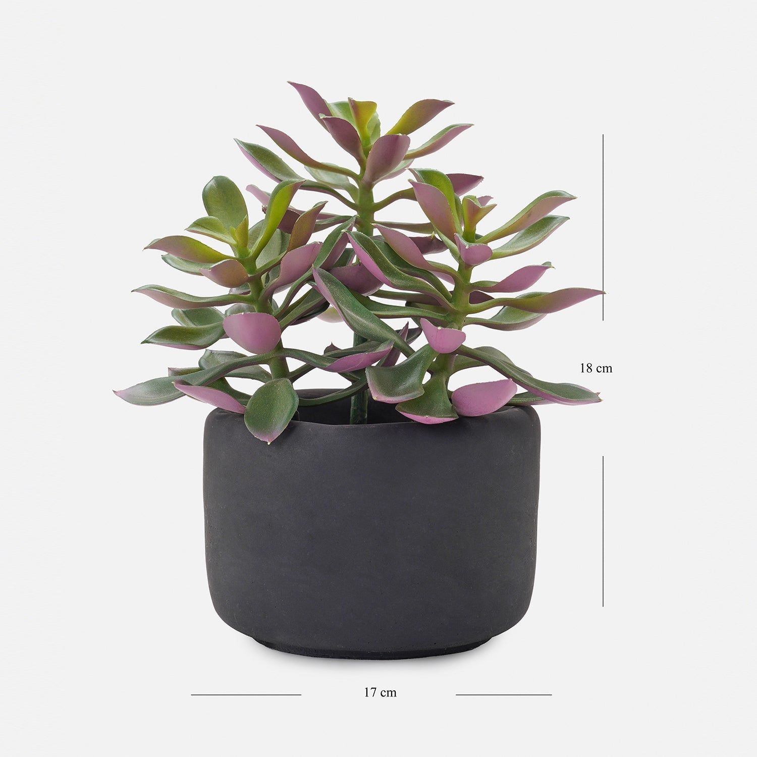 Green Artificial Succulent with Cement Pot