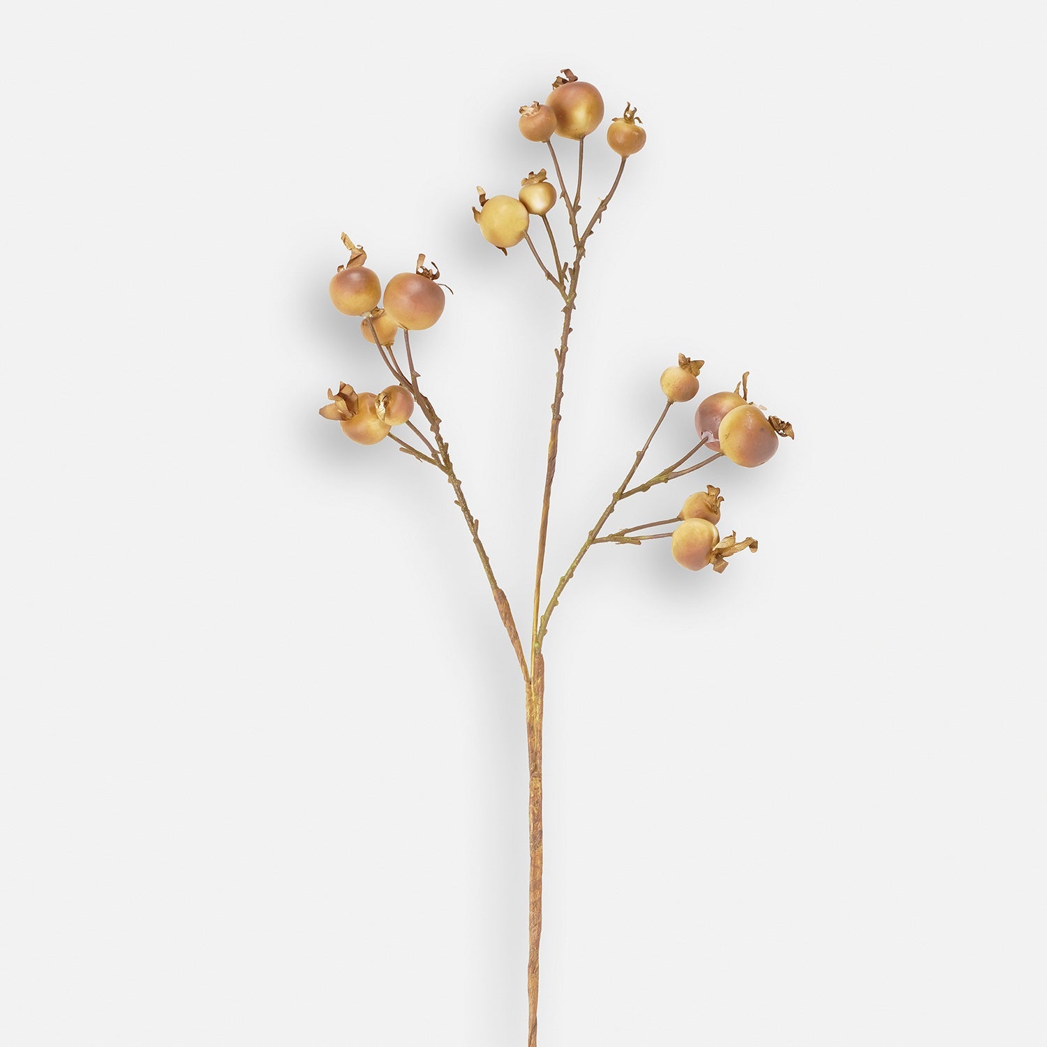 Brown Dry Pomegranate Artificial Stem - Single