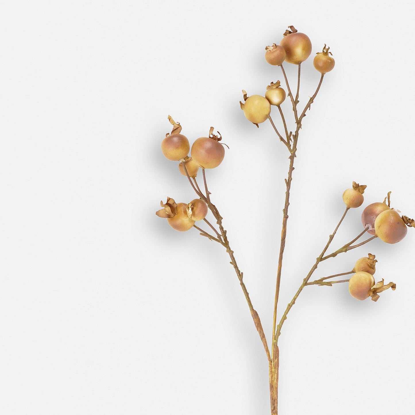 Brown Dry Pomegranate Artificial Stem - Single