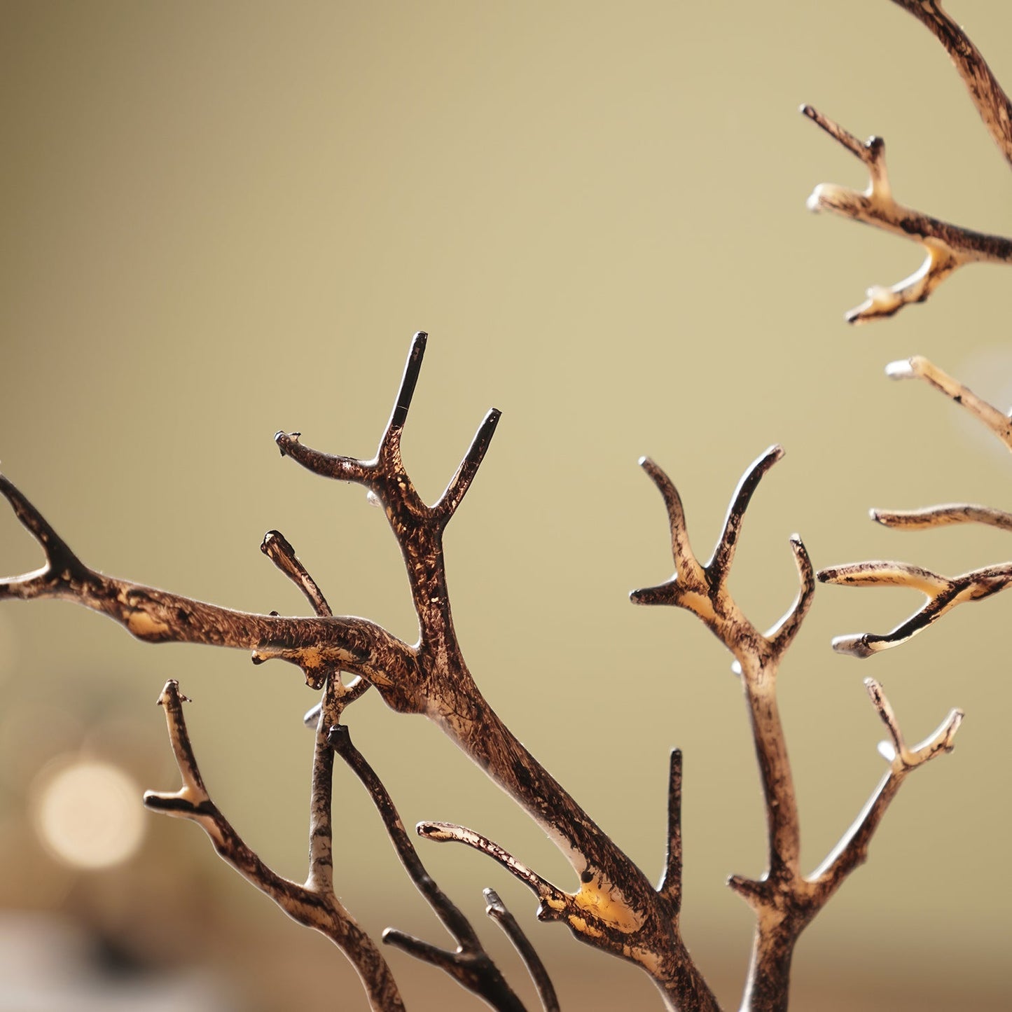 Brown Dry Stem