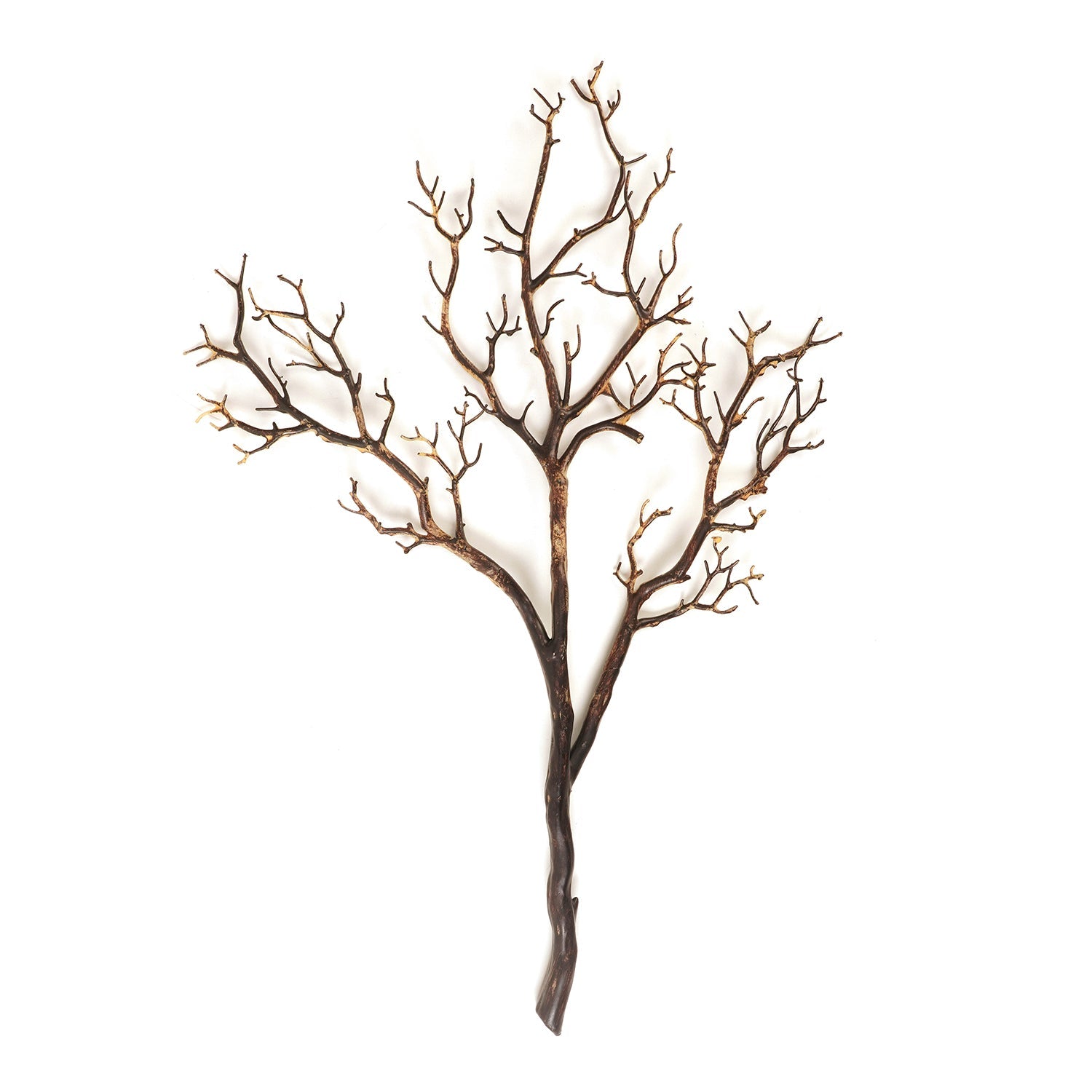 Brown Dry Stem
