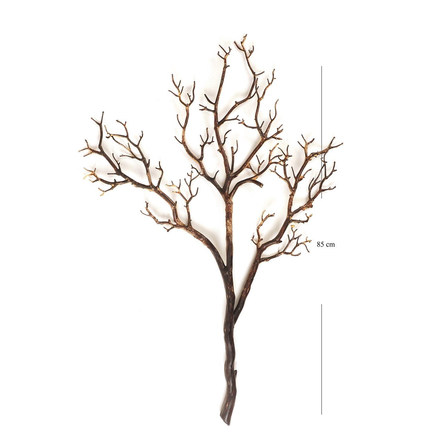 Brown Dry Stem