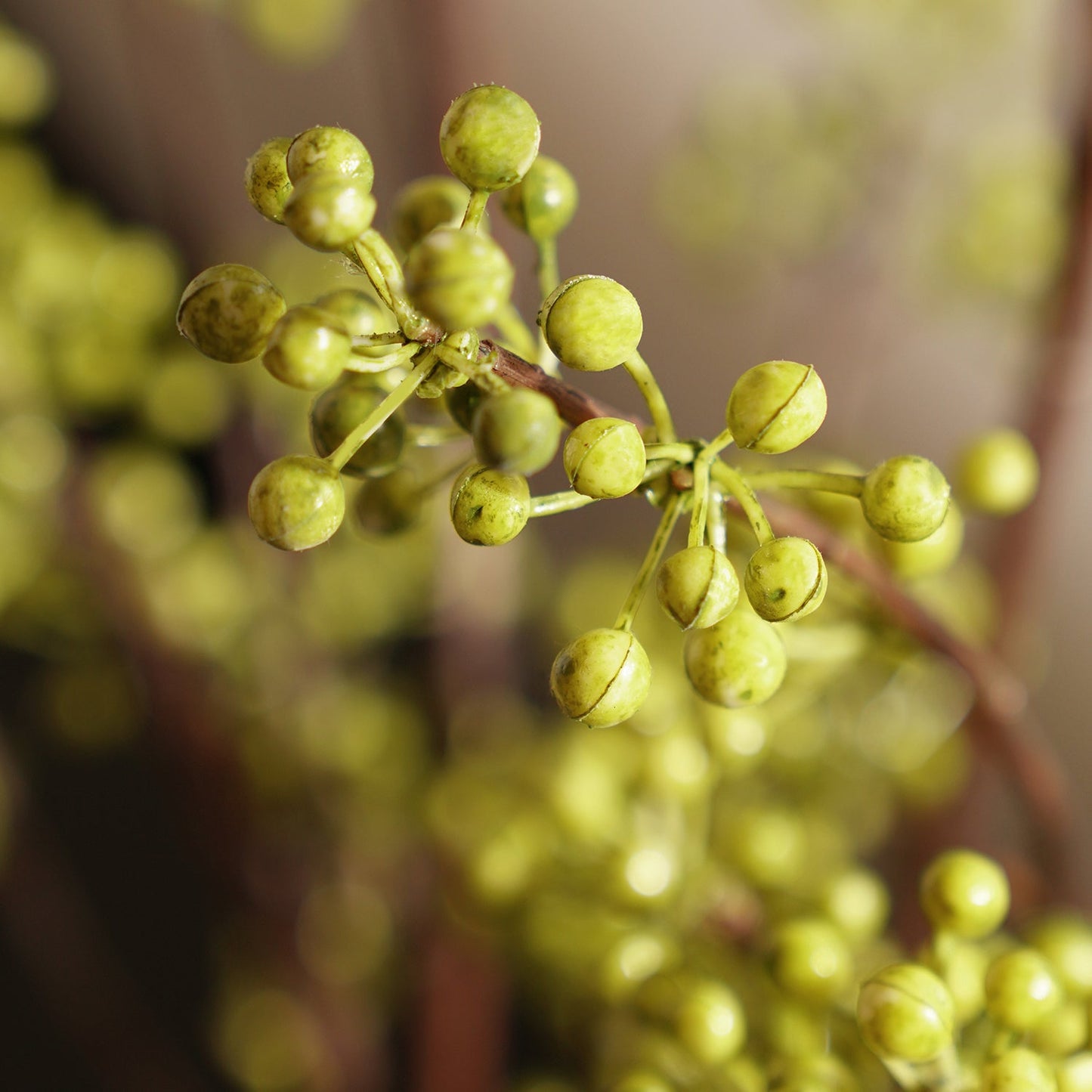 Light Green Artificial Berry Stem - Single