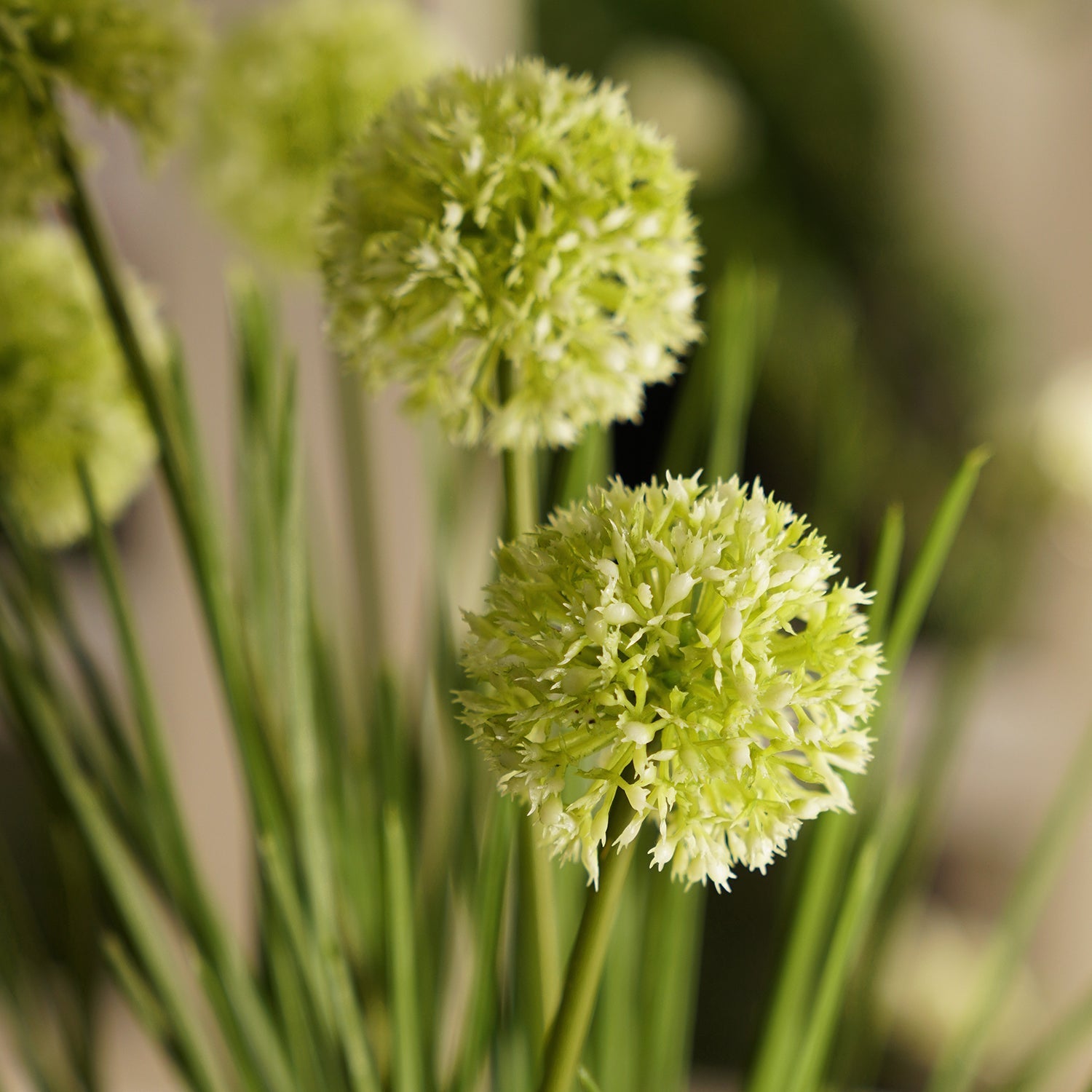Green Artificial Onion Flower with Rattan Basket