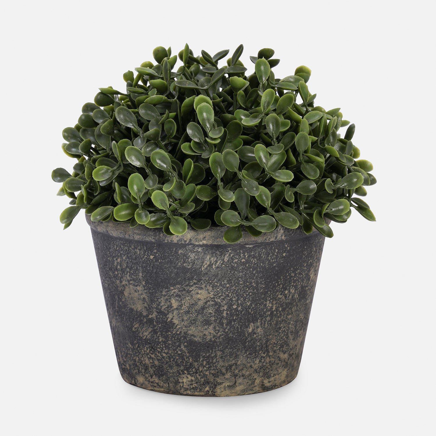 Green Artificial Camillia Leaves with Pot