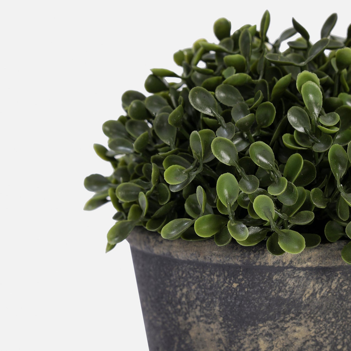 Green Artificial Camillia Leaves with Pot