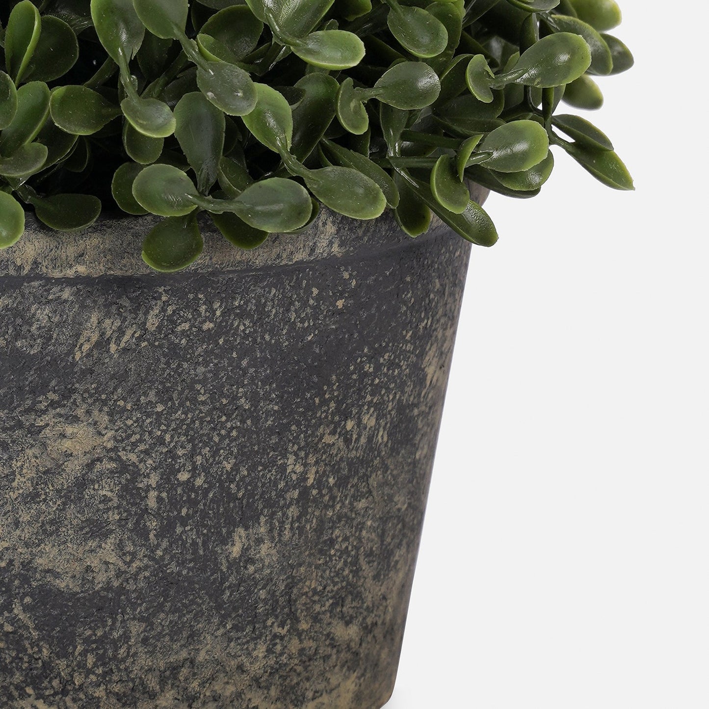 Green Artificial Camillia Leaves with Pot