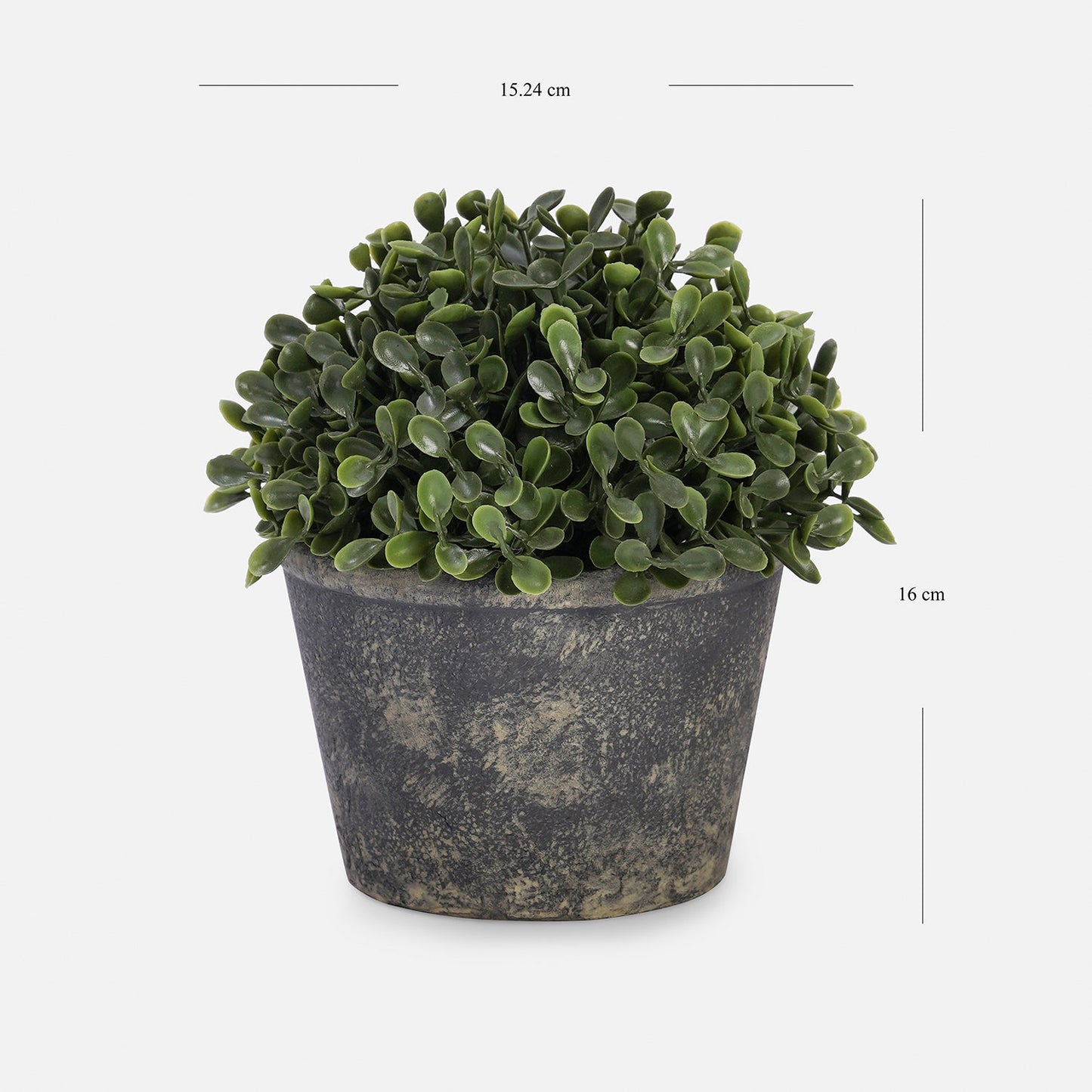 Green Artificial Camillia Leaves with Pot