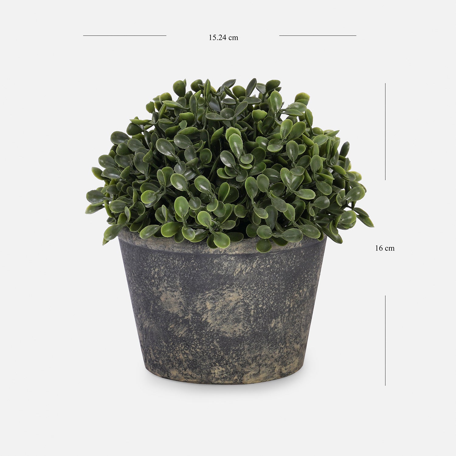 Green Artificial Camillia Leaves with Pot