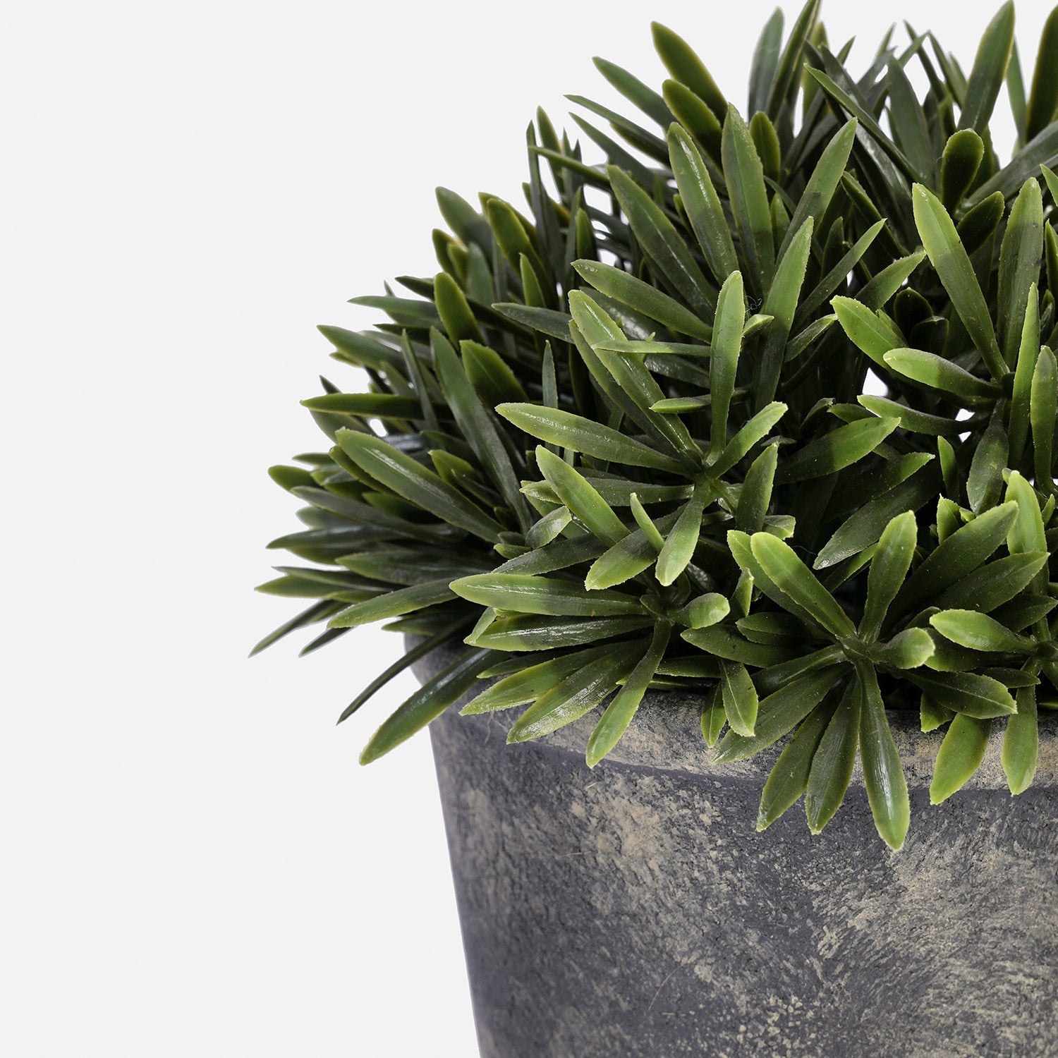 Green Artificial Rosemary with Pot