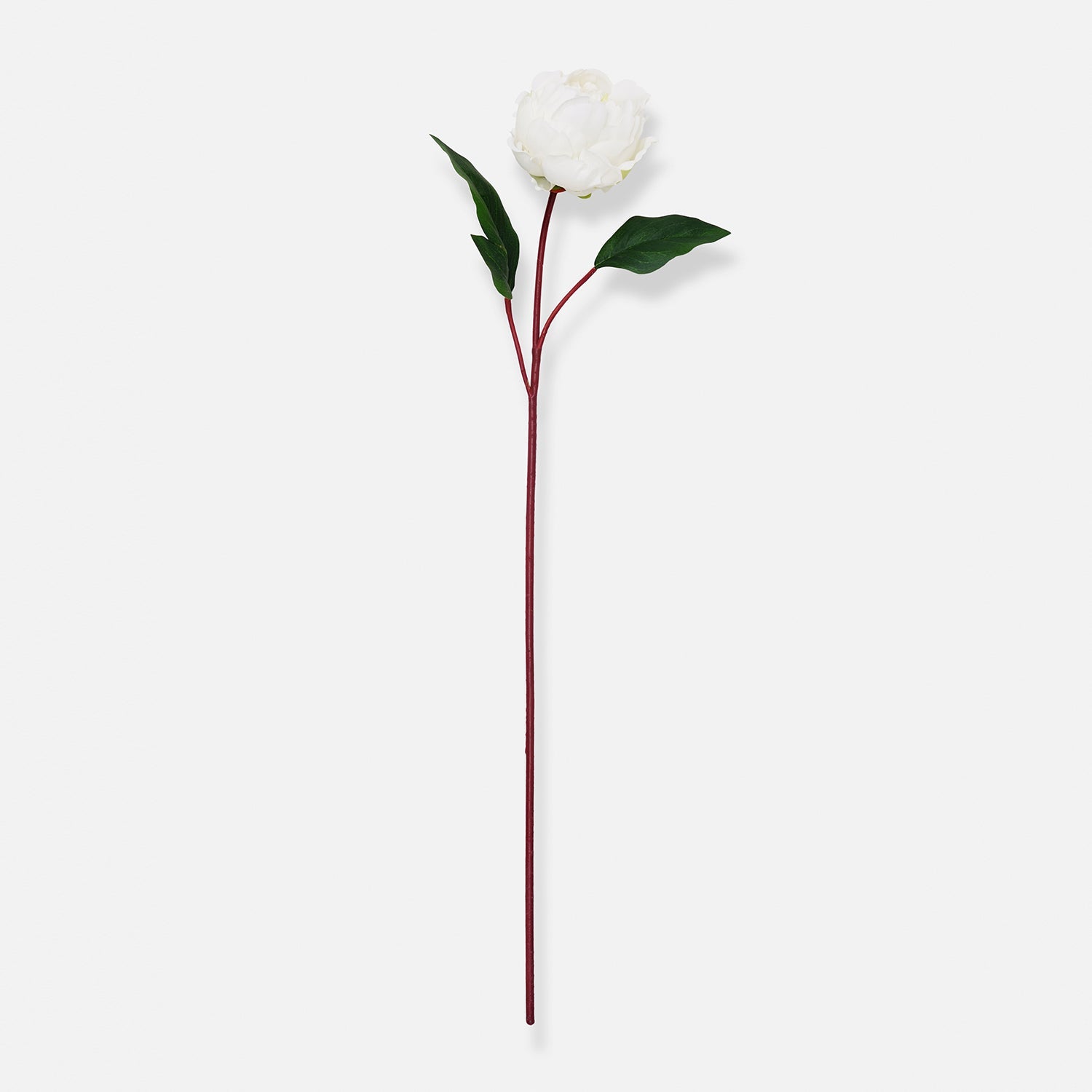Ivory Artificial Peony Flower Stem - Single