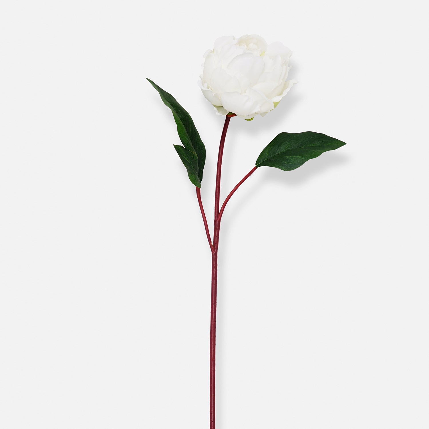 Ivory Artificial Peony Flower Stem - Single