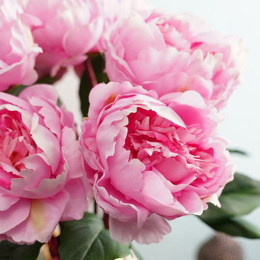 Light Pink Artificial Peony Flower Stem - Single