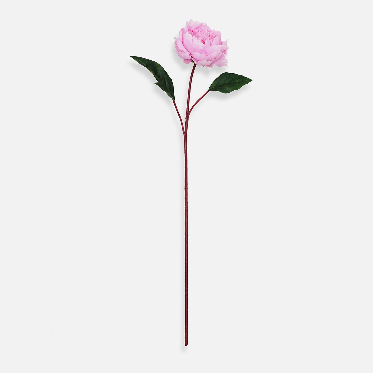 Light Pink Artificial Peony Flower Stem - Single