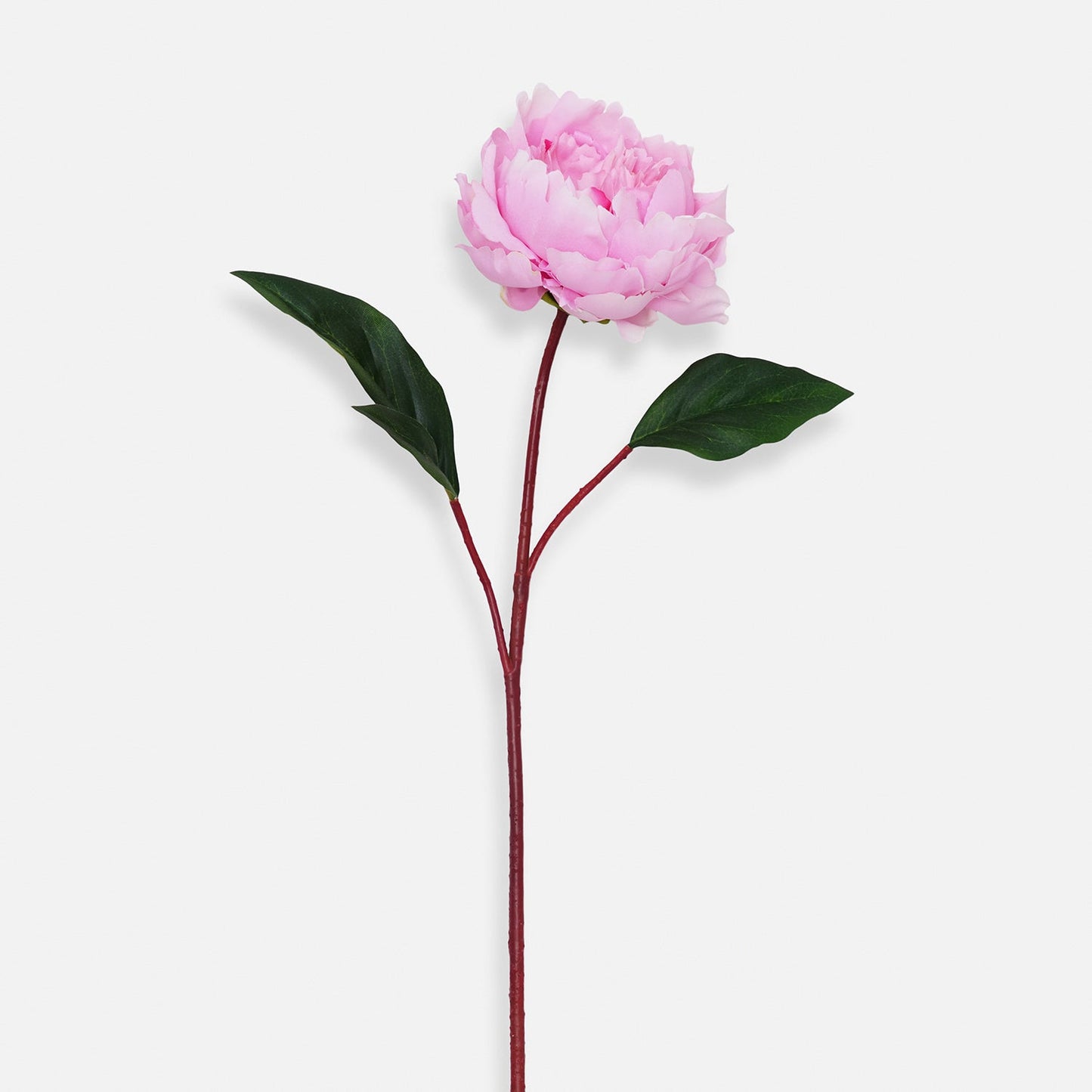 Light Pink Artificial Peony Flower Stem - Single