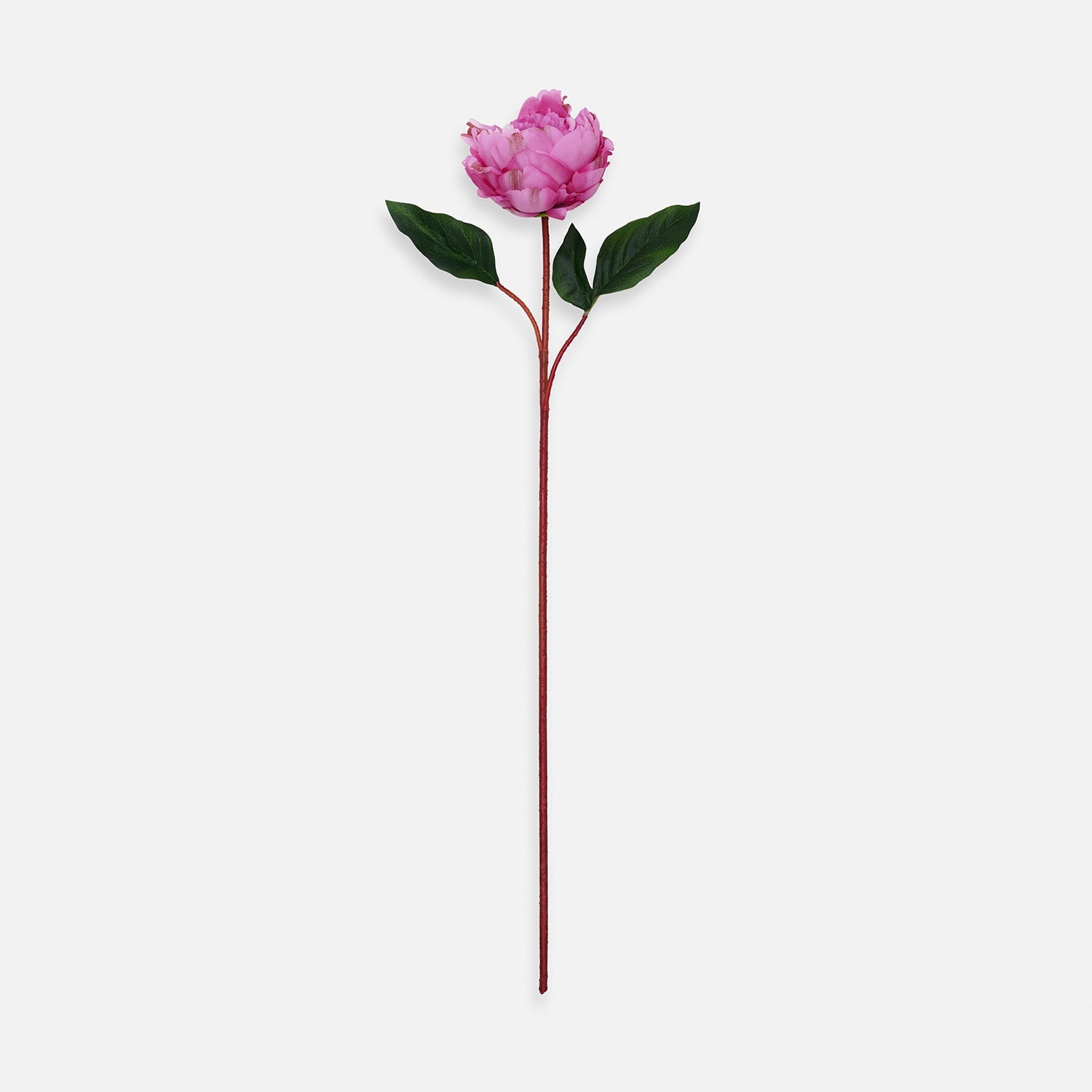 Dark Pink Artificial Peony Flower Stem - Single